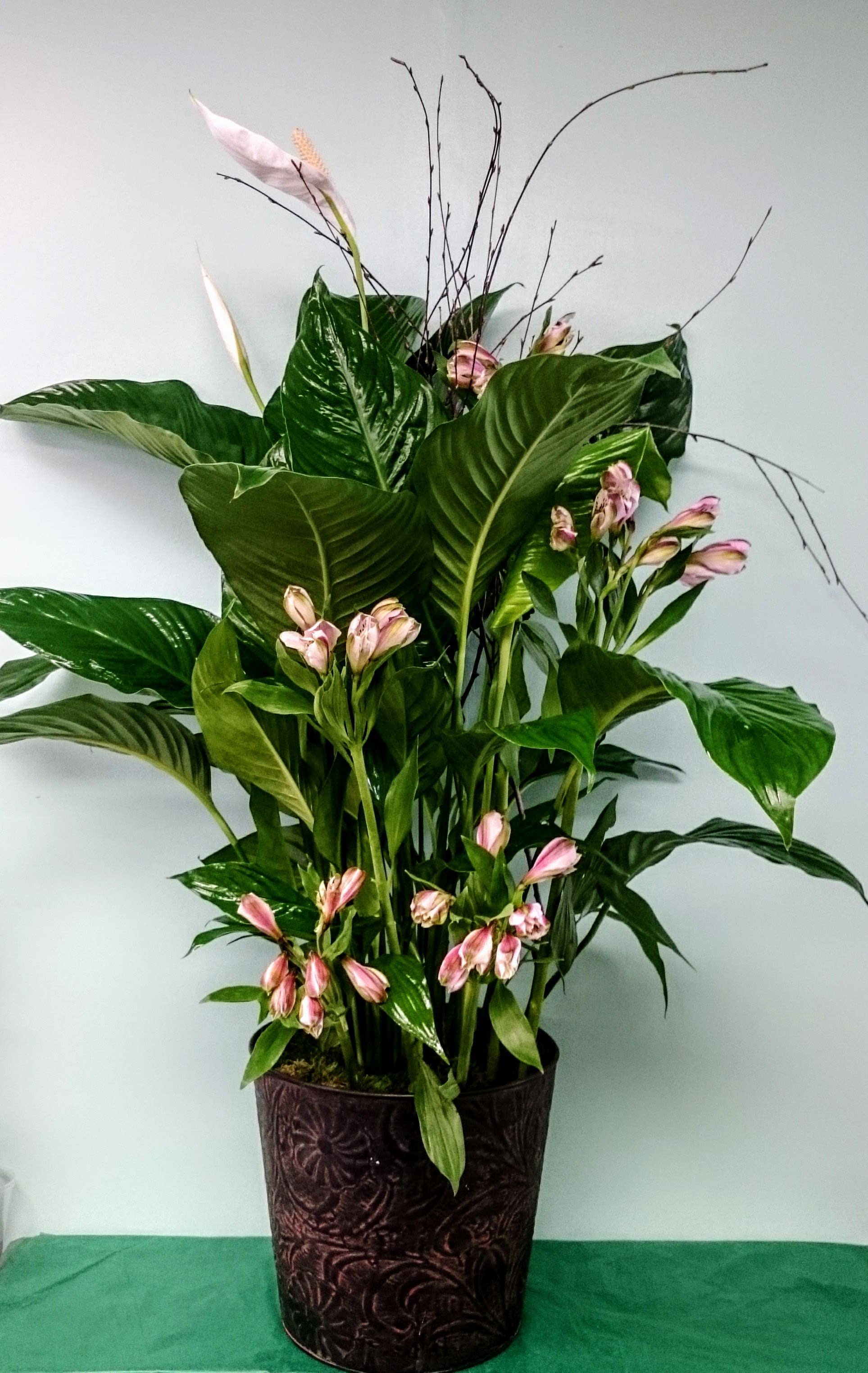 For the Love of Peace - A beautiful Spathiphyllum plant (Peace Lily) accented with lush Alstroemeria and Birch Branches or similar accents and flowers in a beautiful container or similar container. Photo depicts the Premium size.
