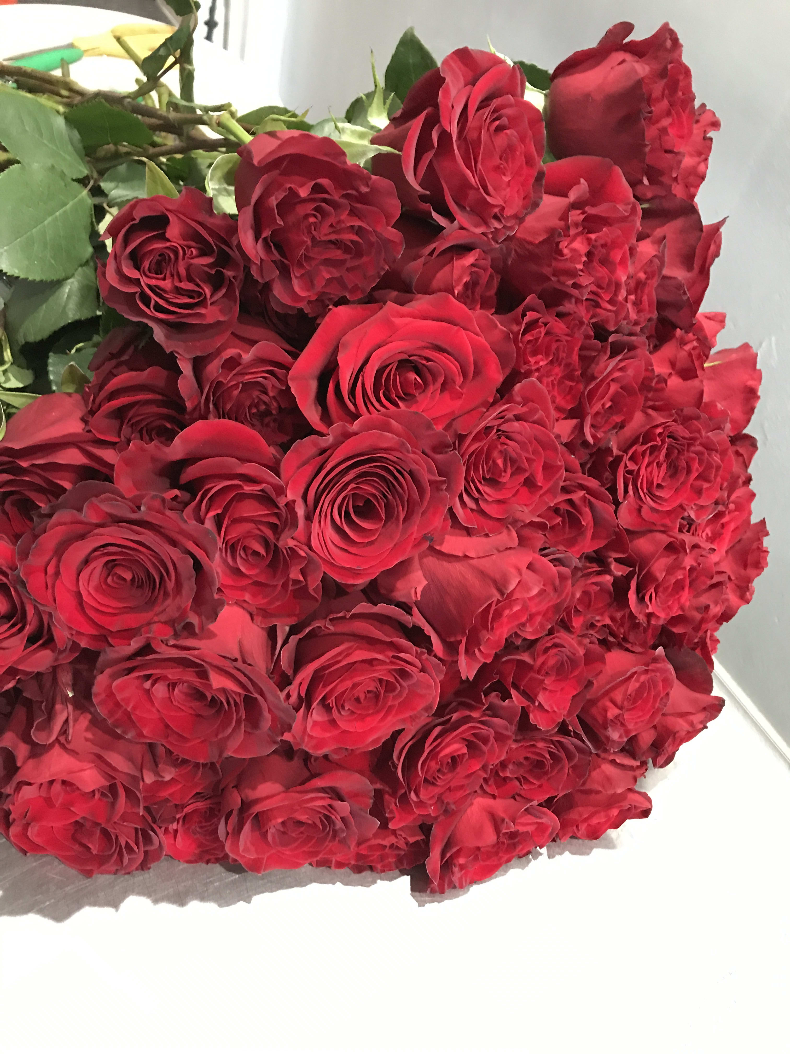 Large bouquet of red roses with green foliage