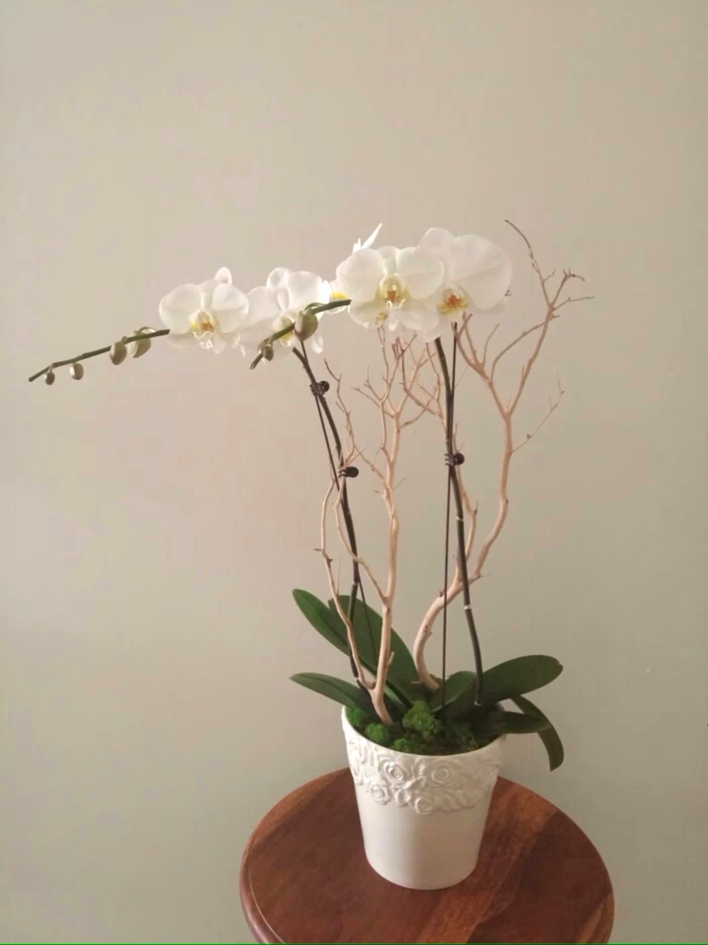 White orchid plant in a decorative white pot on a small table