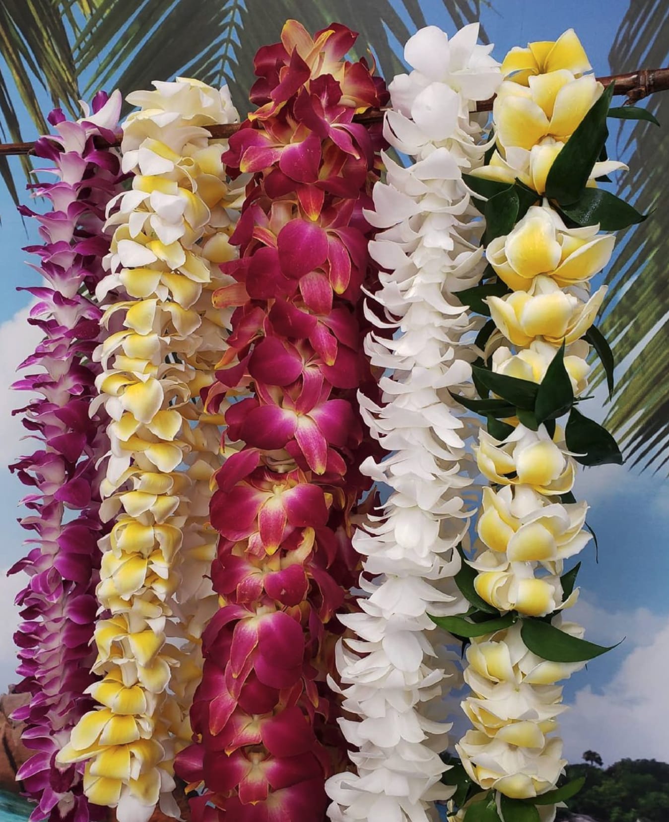 Five colorful orchid leis draped vertically against a tropical backdrop