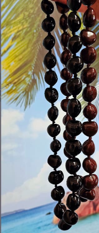 Strands of dark beaded necklaces hanging in front of a beach scene