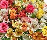 Alstroemeria &amp; roses arrangement - mixture of different colored alstroemeria and roses in a glass vase
