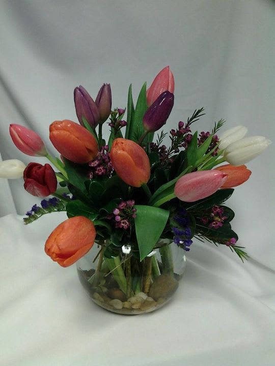 Tulips bubble bowl - Tulips with some filler flowers and greens in a bubble bowl. Colors may change with availability of tulips. If there is a certain colors you want, please let us know.