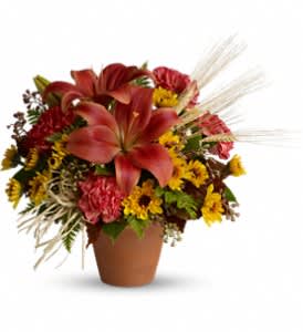 Mixed bouquet with red lilies and yellow flowers in a terracotta pot