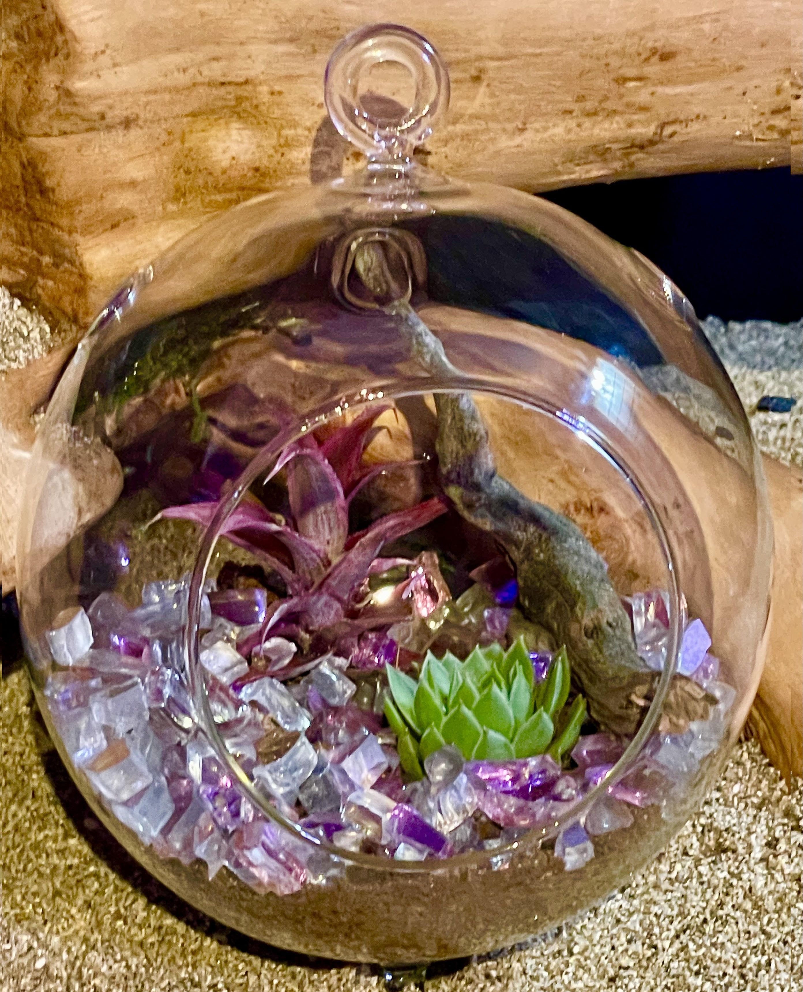 Glass terrarium with purple air plant, green succulent, and colorful stones resting on sand and wood
