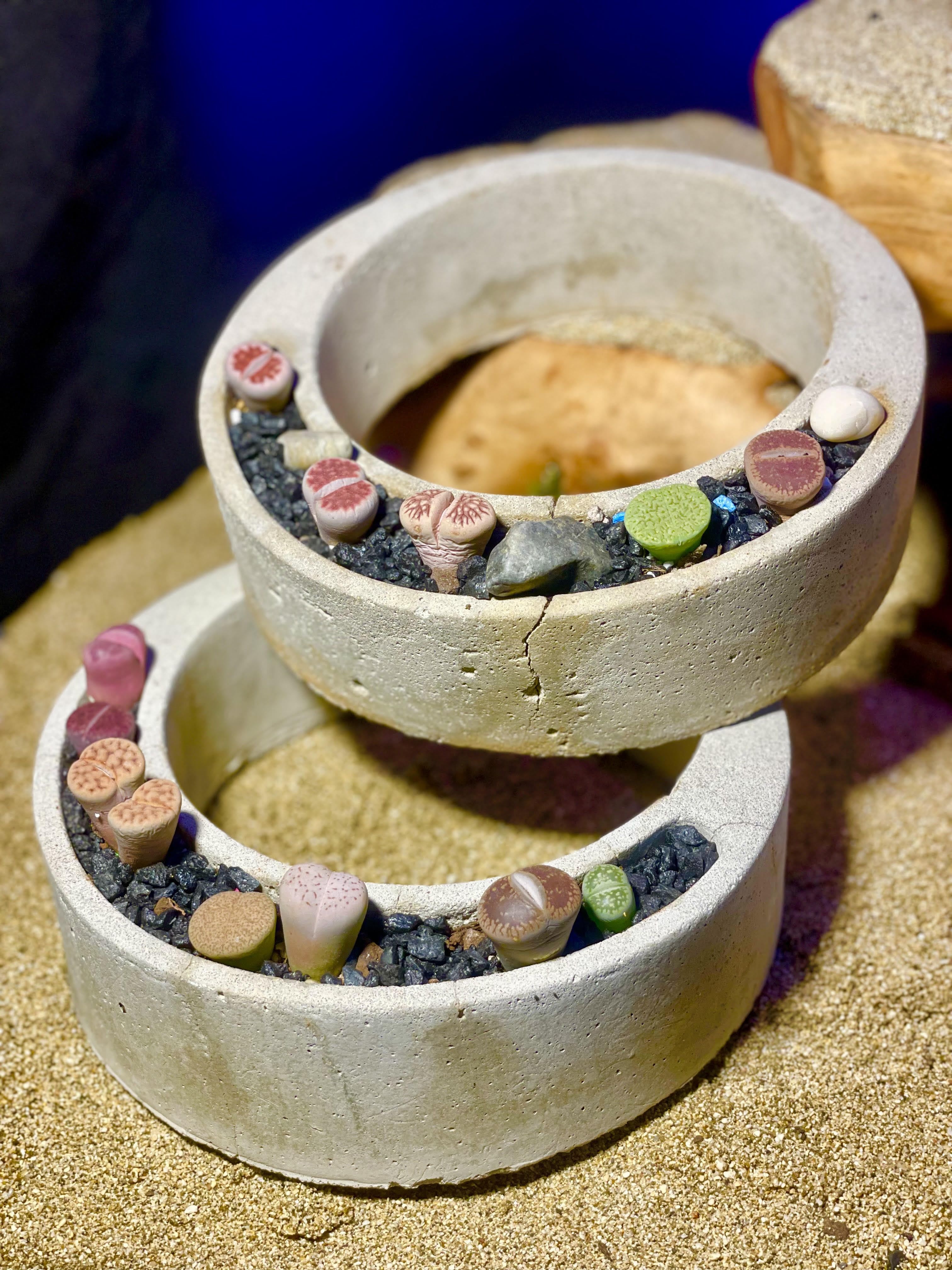 Stacked concrete ring planters filled with small multicolored succulent stones on black gravel.