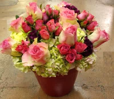 Rounded arrangement of pink roses and spray roses over green hydrangeas in a red pot