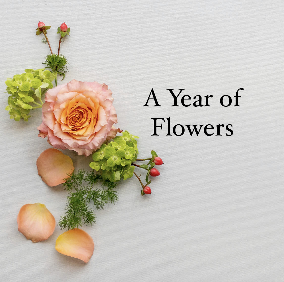 Peach rose with green blooms and petals arranged beside the words A Year of Flowers on a light background