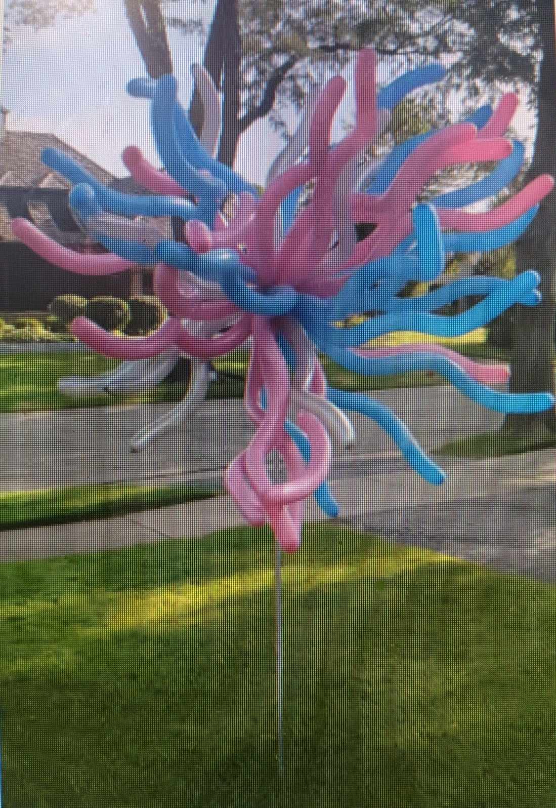 Pink and blue balloon sculpture on a yard stake