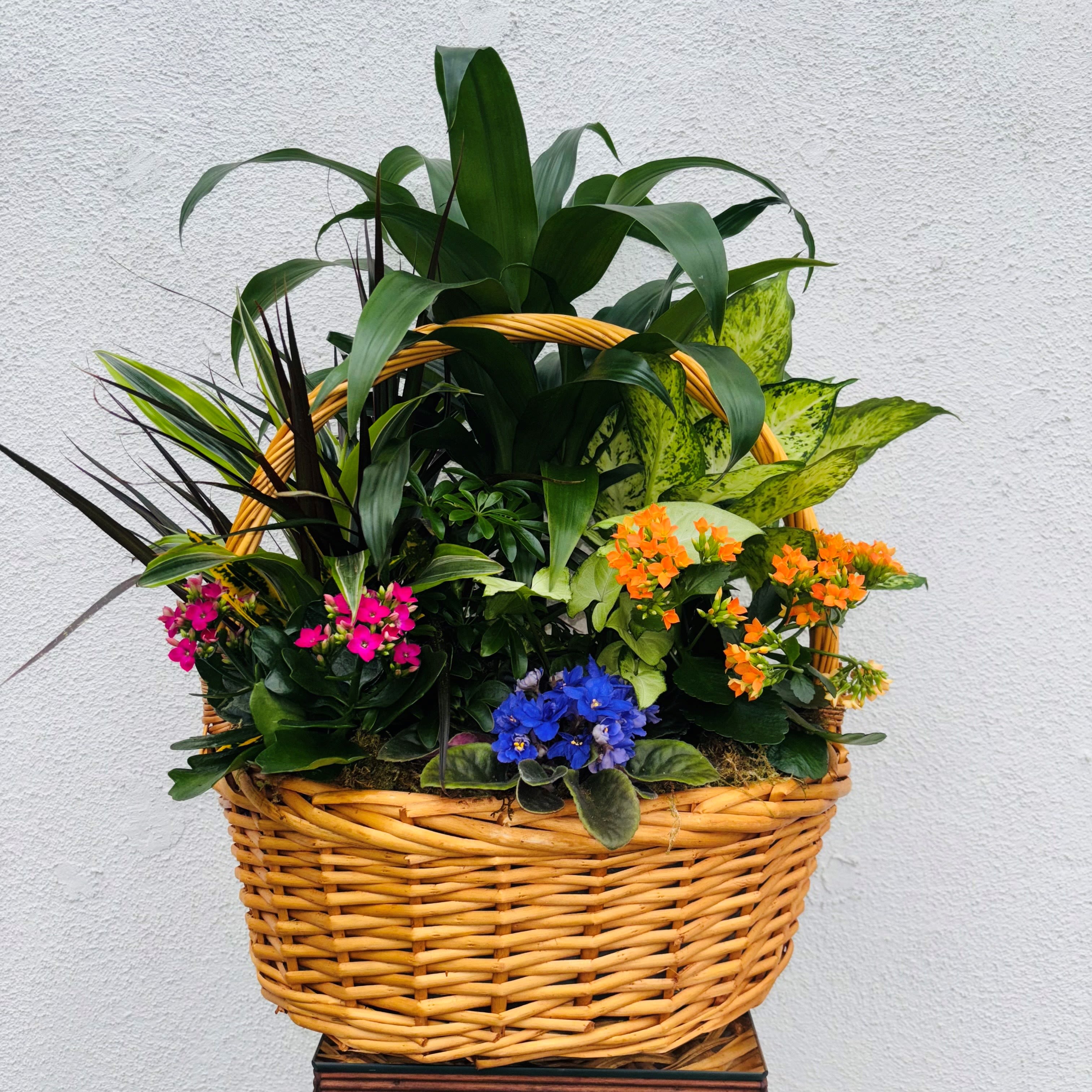 Mixed potted plants and flowers in a wicker basket