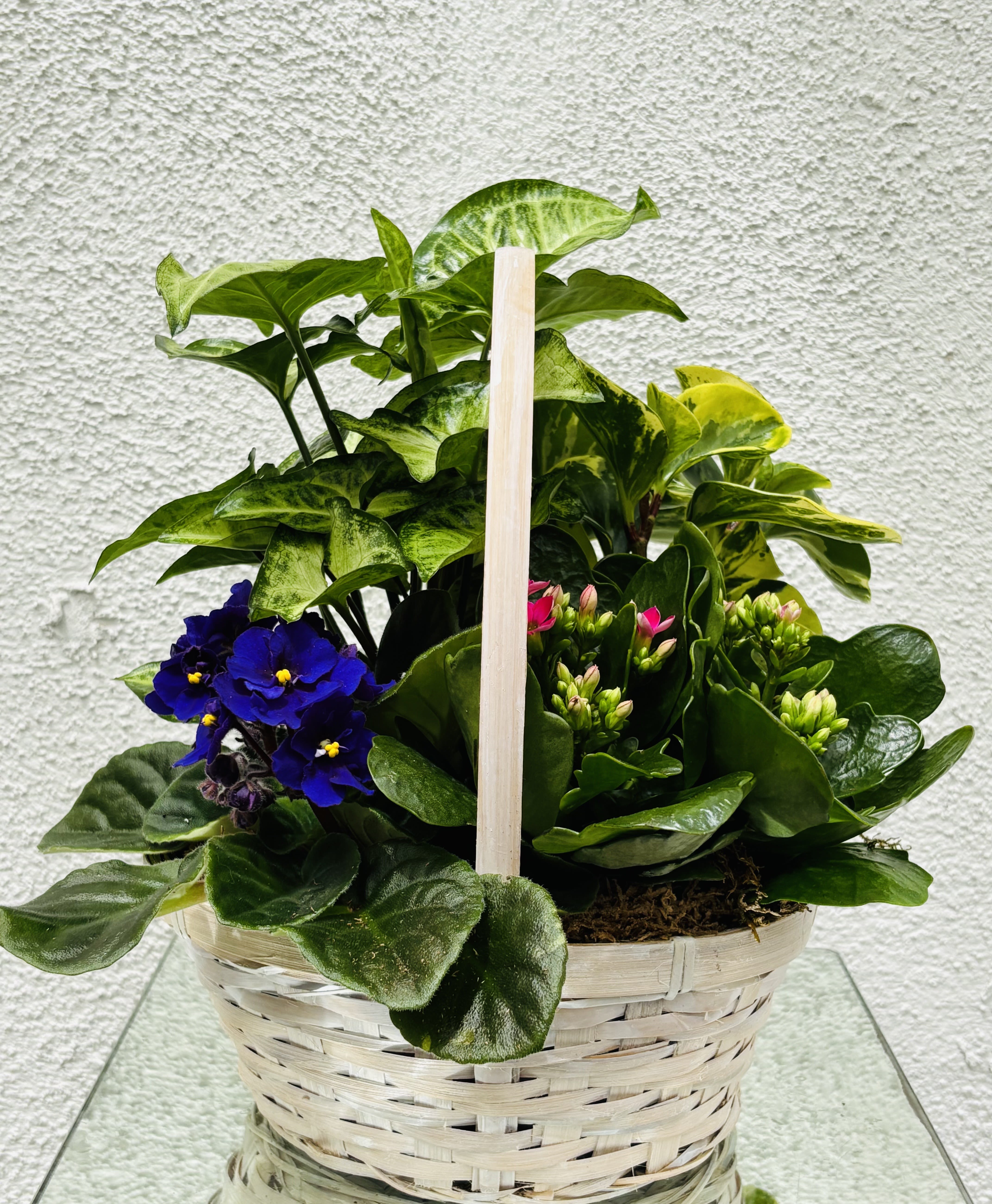 Basket of potted plants with purple flowers and pink buds