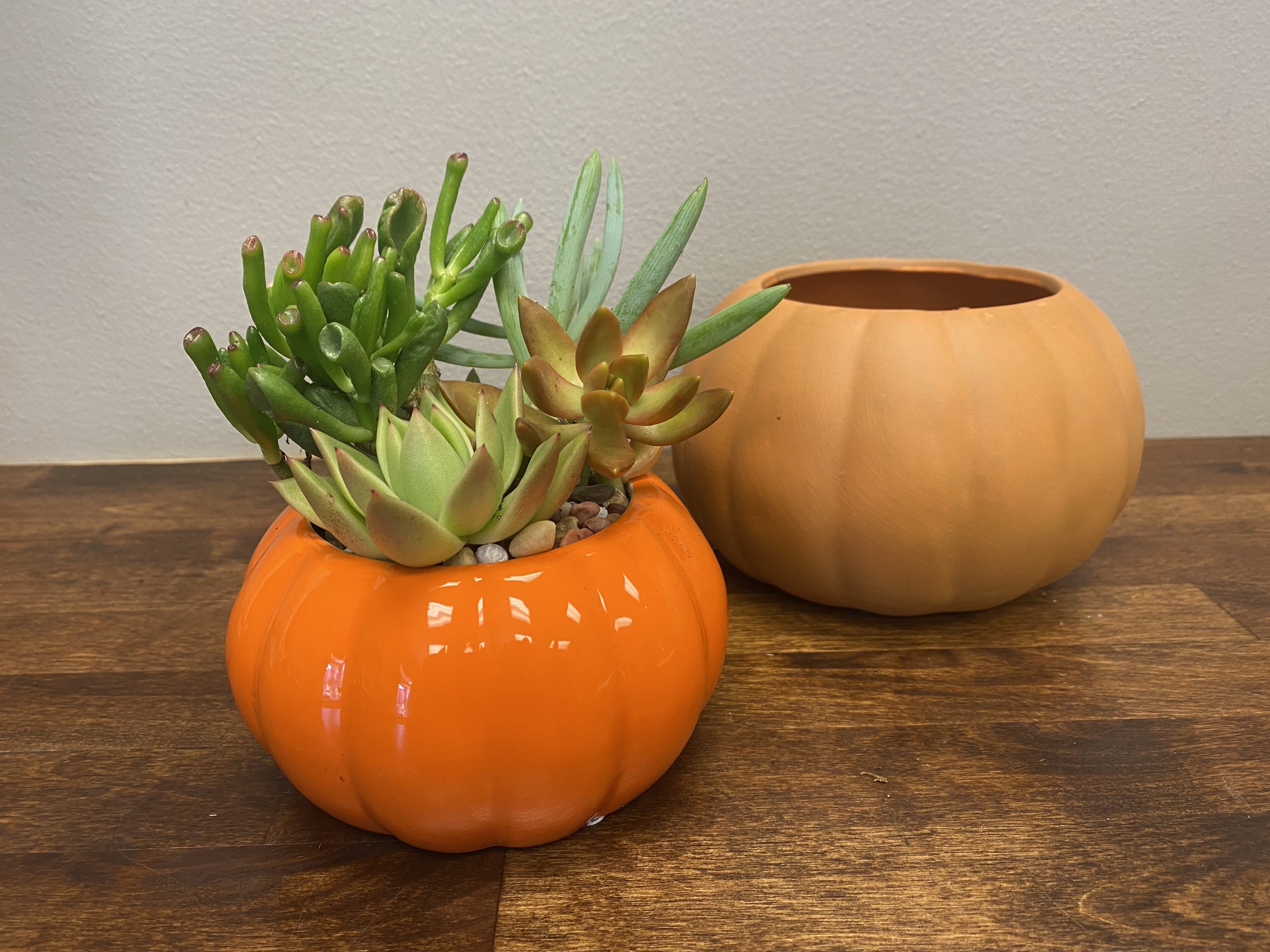 Succulent arrangement in an orange pumpkin-shaped pot beside a tan pumpkin container