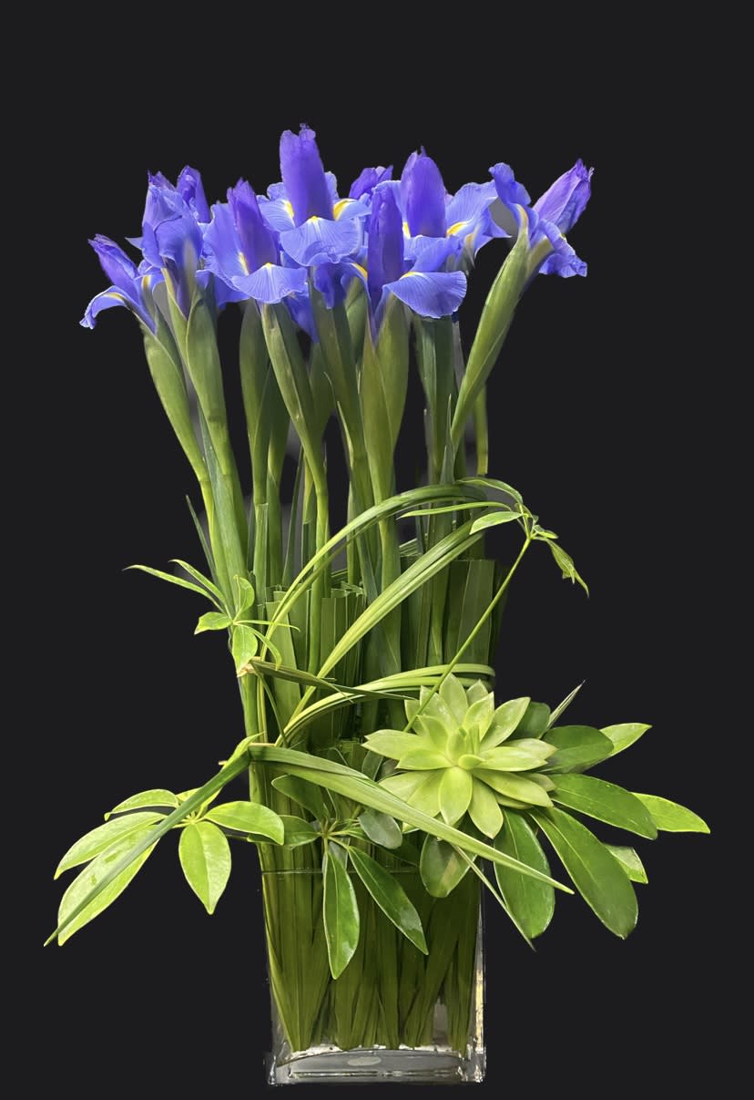 Blue iris arrangement in a clear glass vase with green foliage