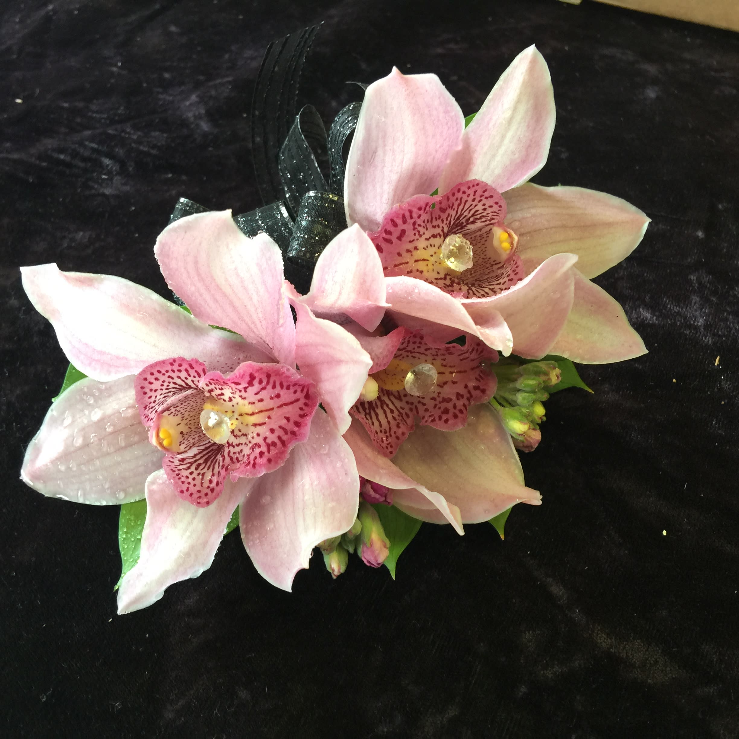 Pink orchid corsage with a black ribbon on a dark background