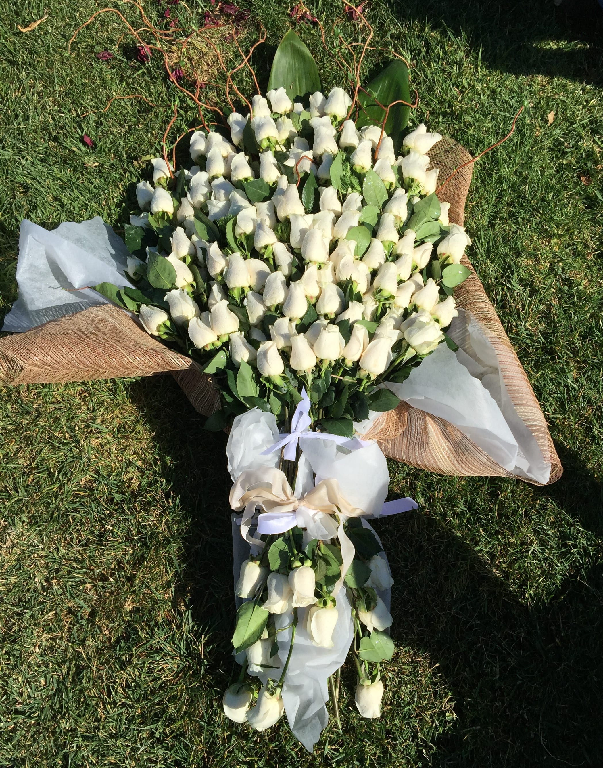 Large bouquet of white roses wrapped in white and burlap paper