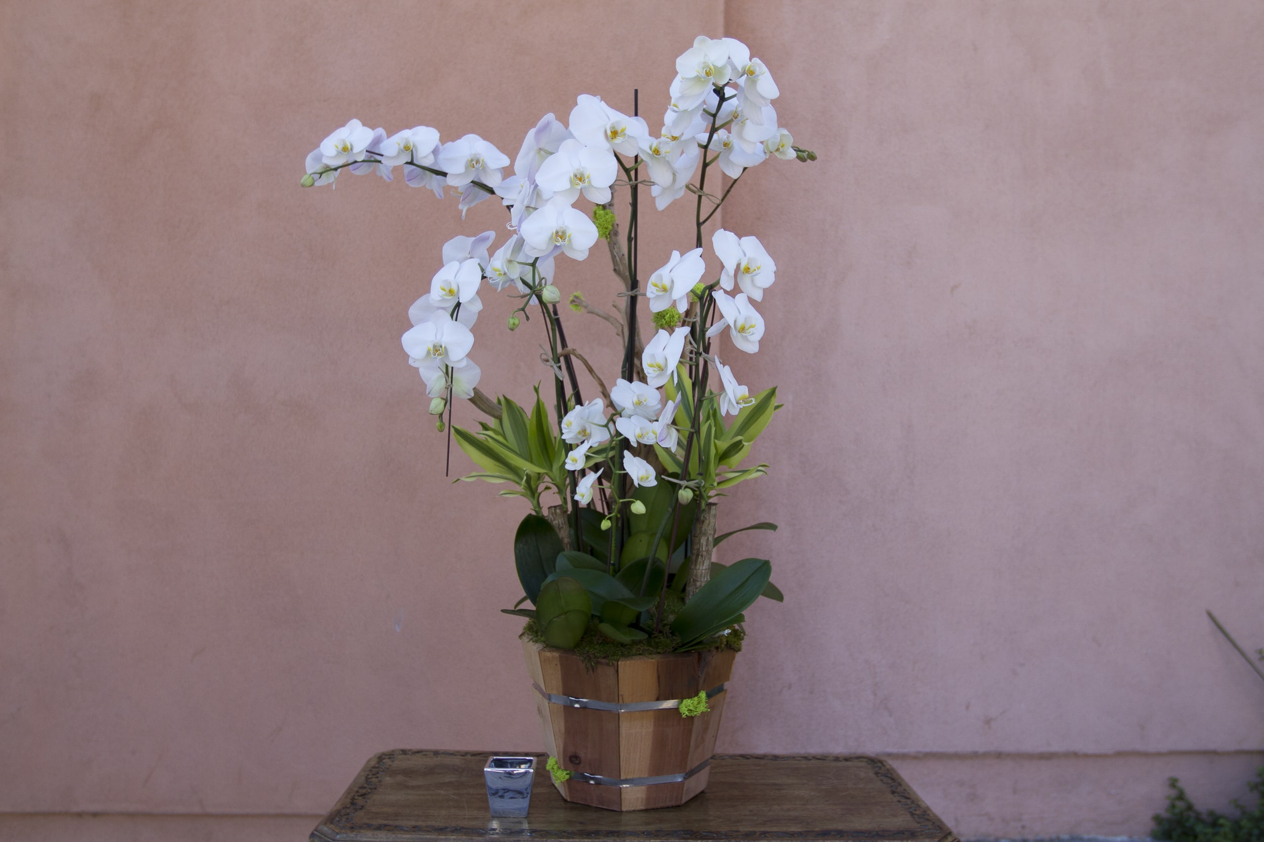 White orchid arrangement in a wooden pot on a table