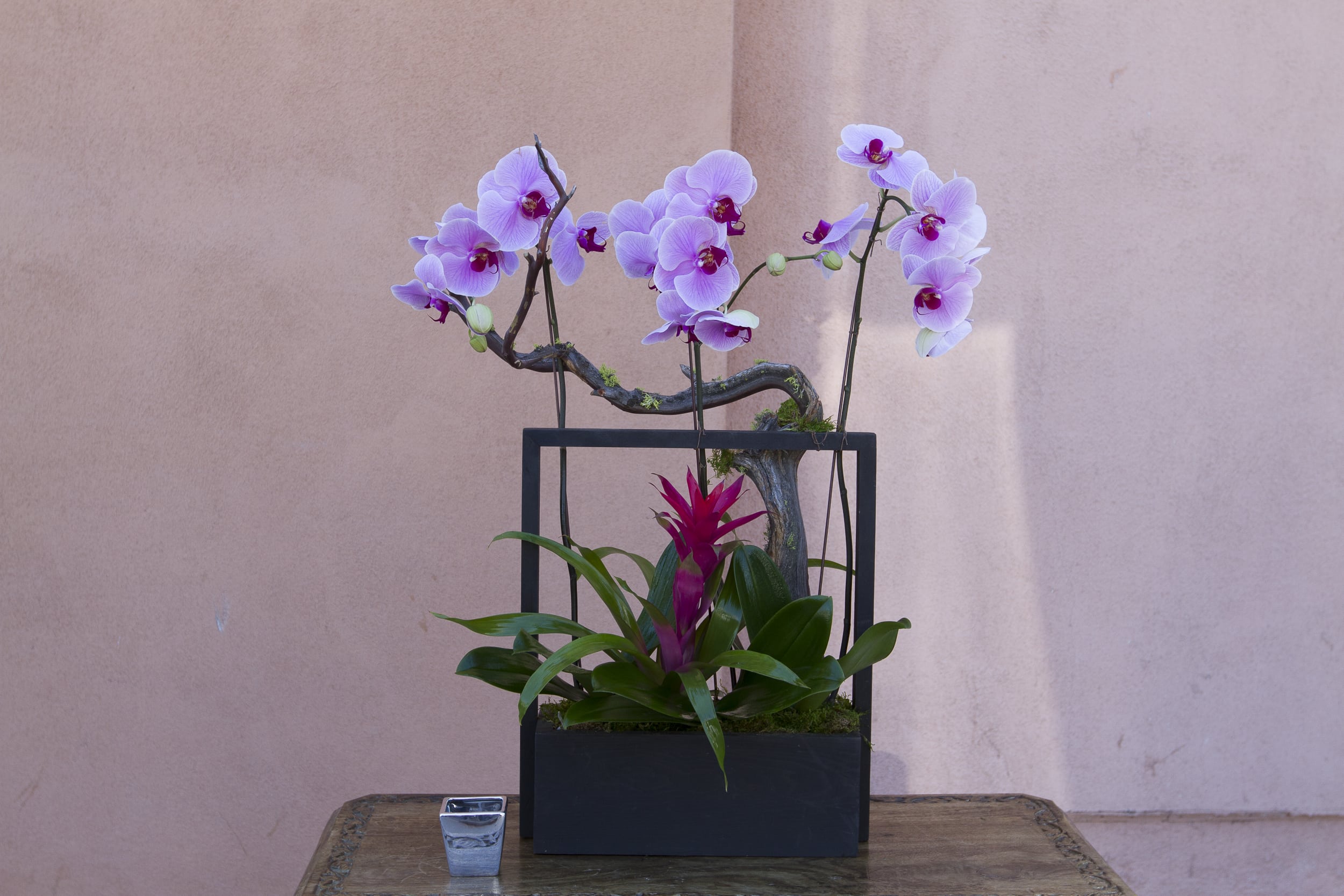 Orchid arrangement in a black rectangular planter with a magenta bromeliad