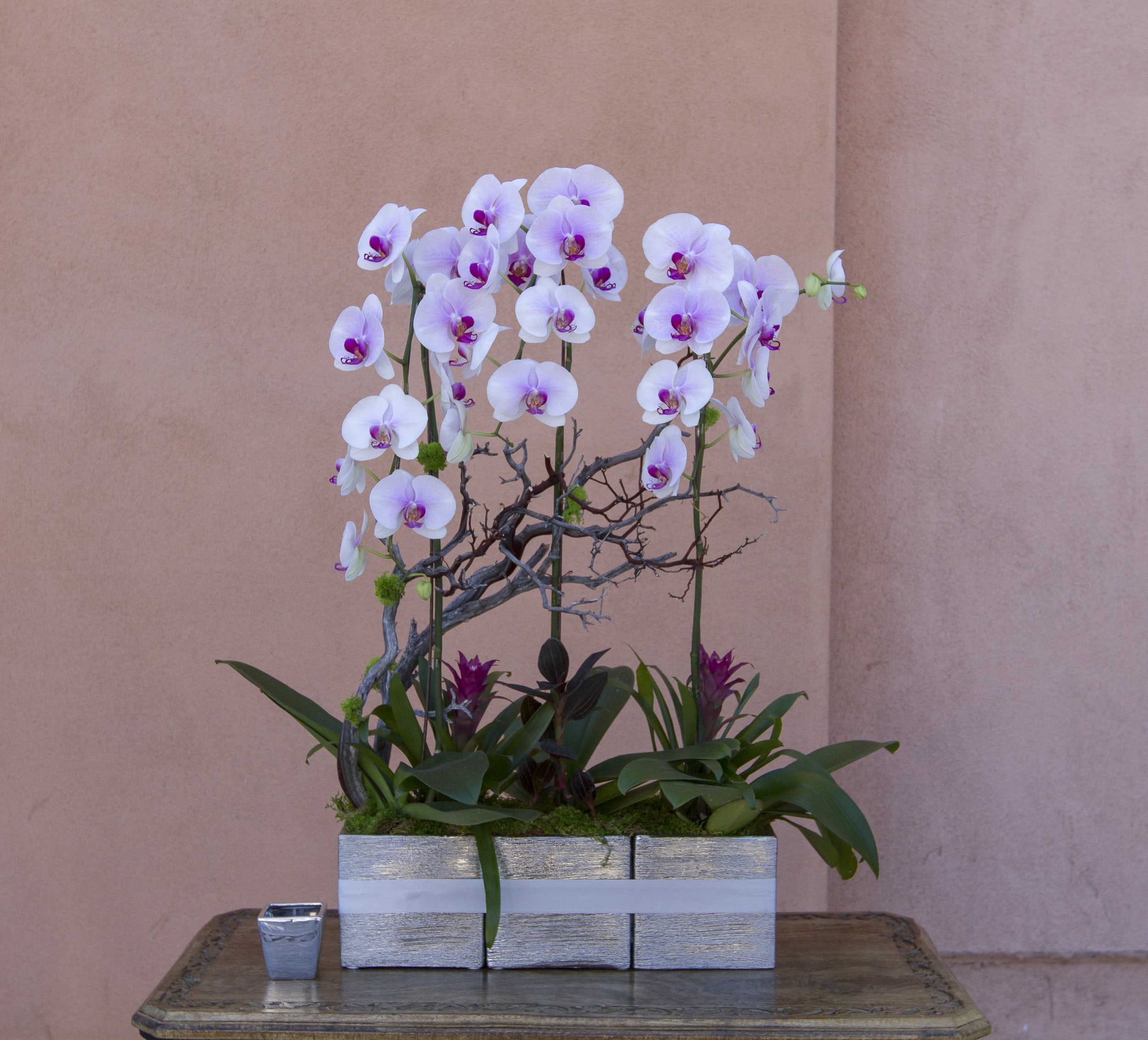 White orchids arranged in a silver rectangular planter with branches