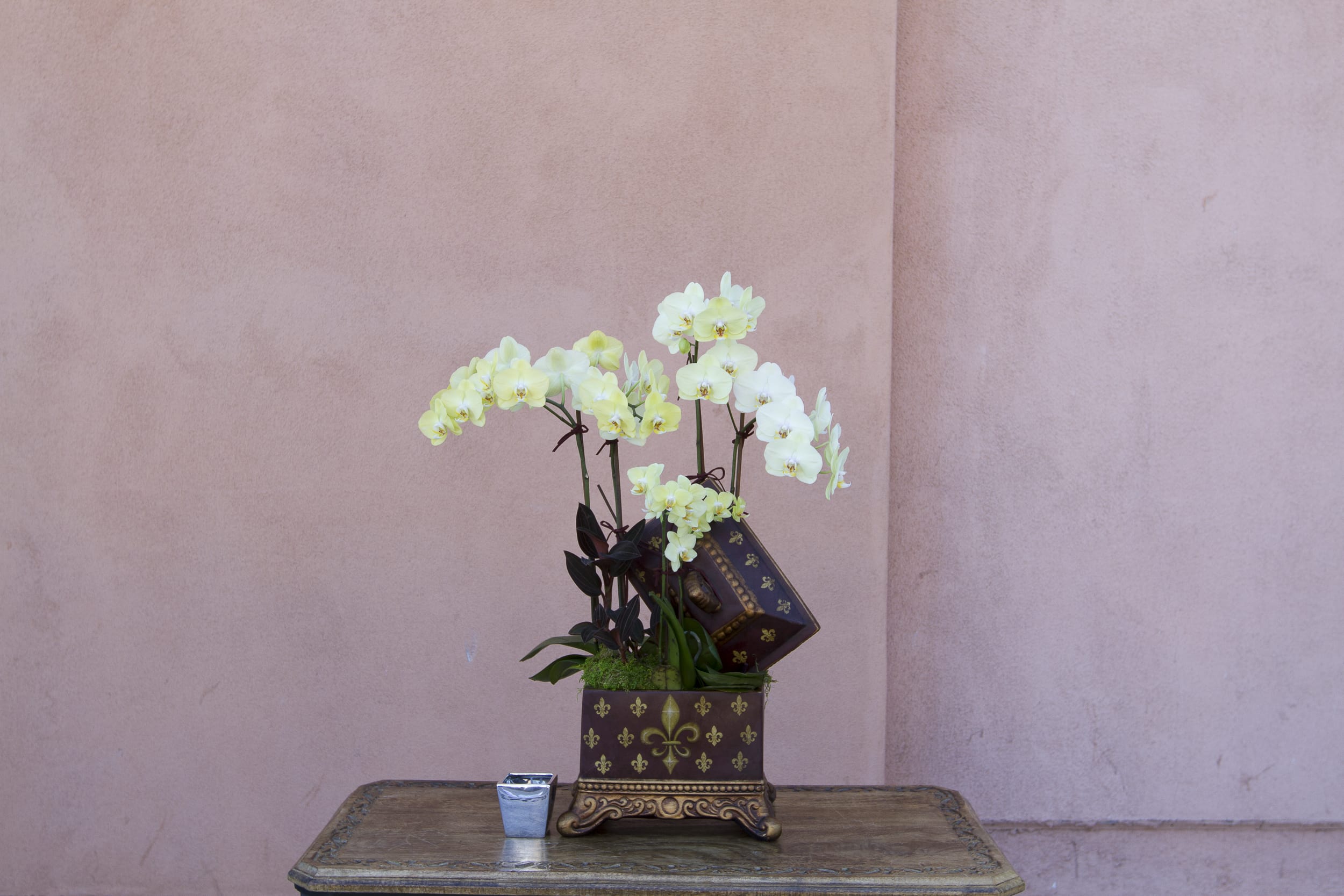 White orchids arranged in a decorative square planter on a table