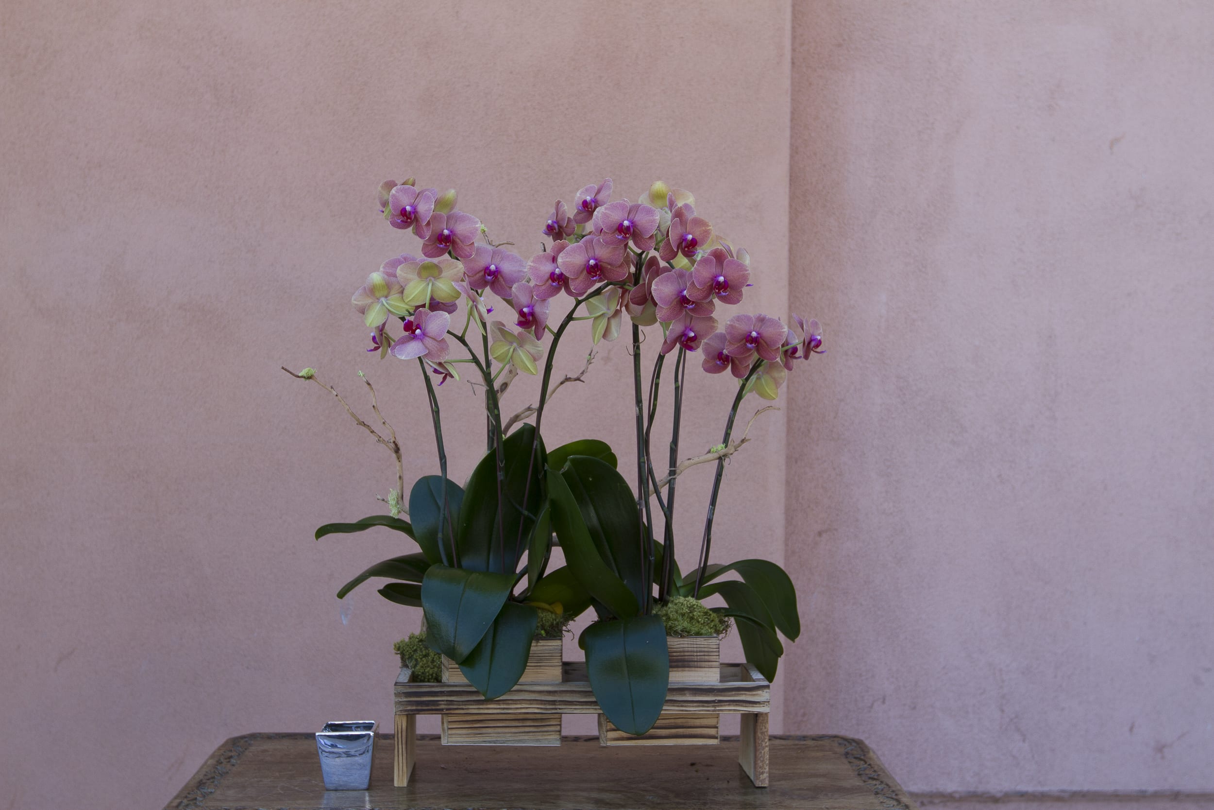 Pink orchid arrangement in a wooden stand with a small candle holder nearby