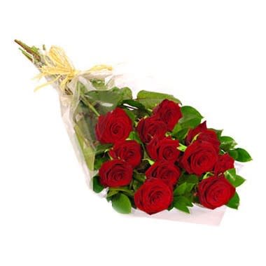 Bouquet of red roses wrapped in clear plastic