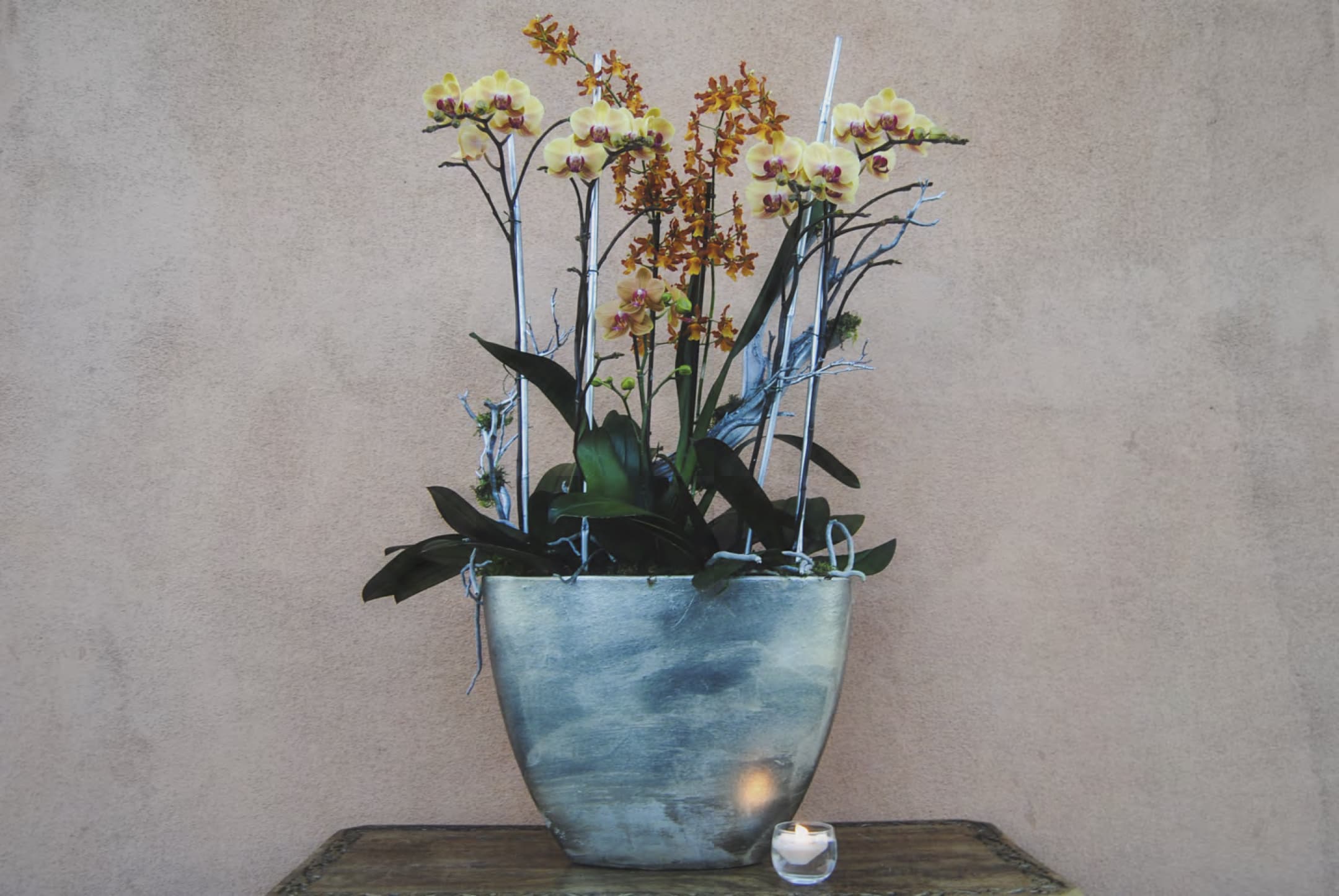 Potted orchid arrangement with yellow blooms in a blue vase