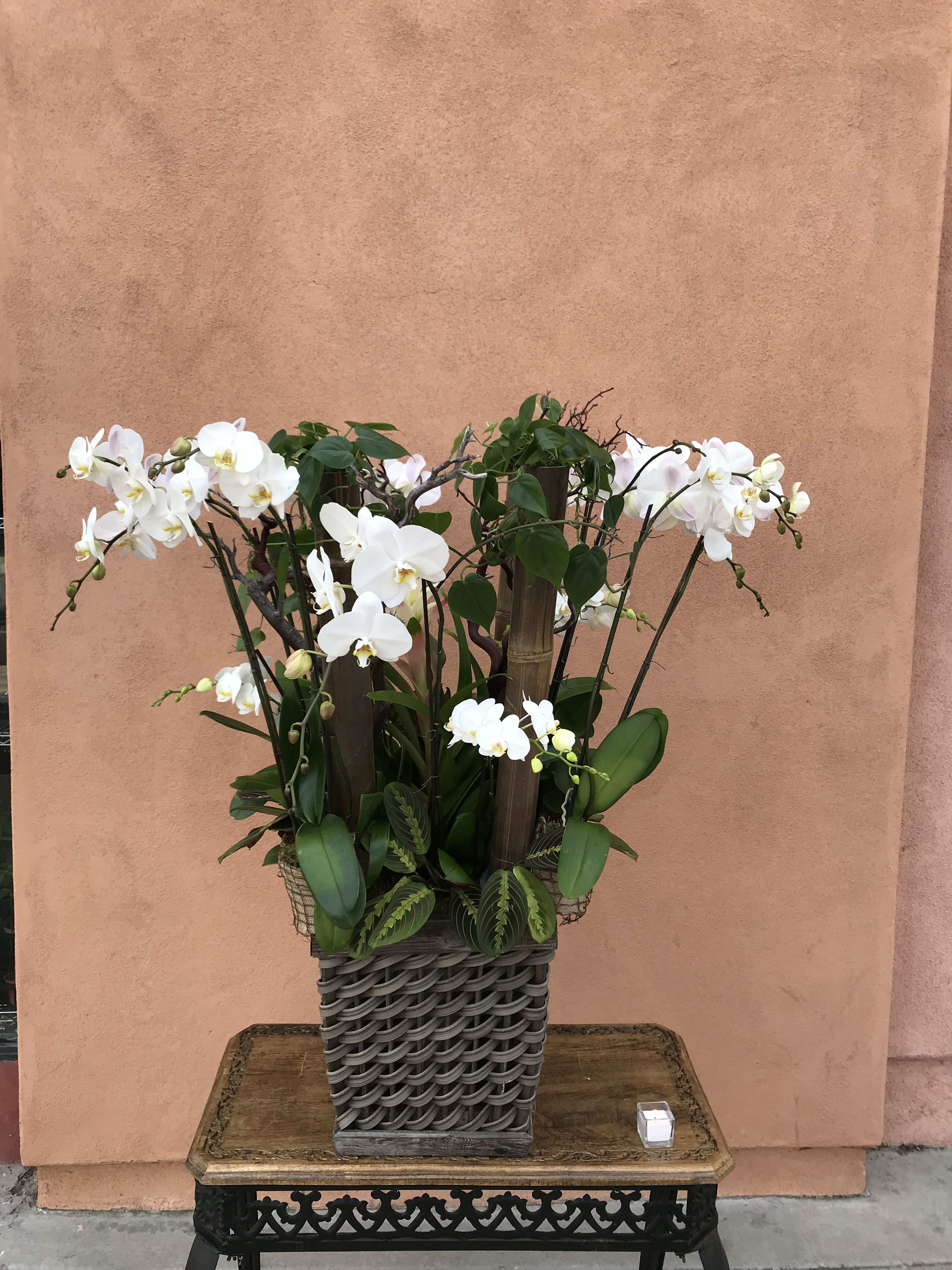 White orchids arranged in a woven basket planter