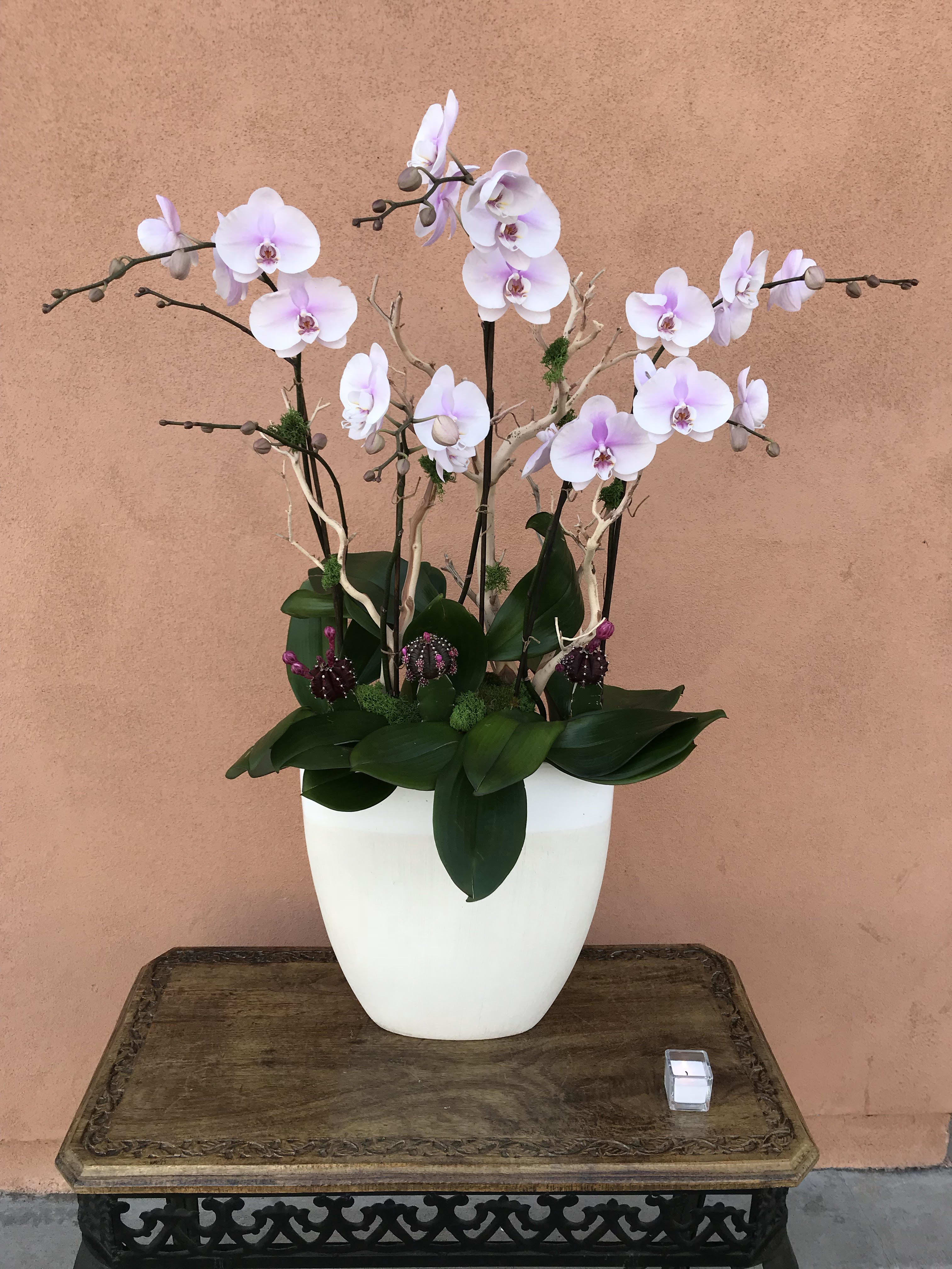 White and pale pink orchids arranged in a white vase