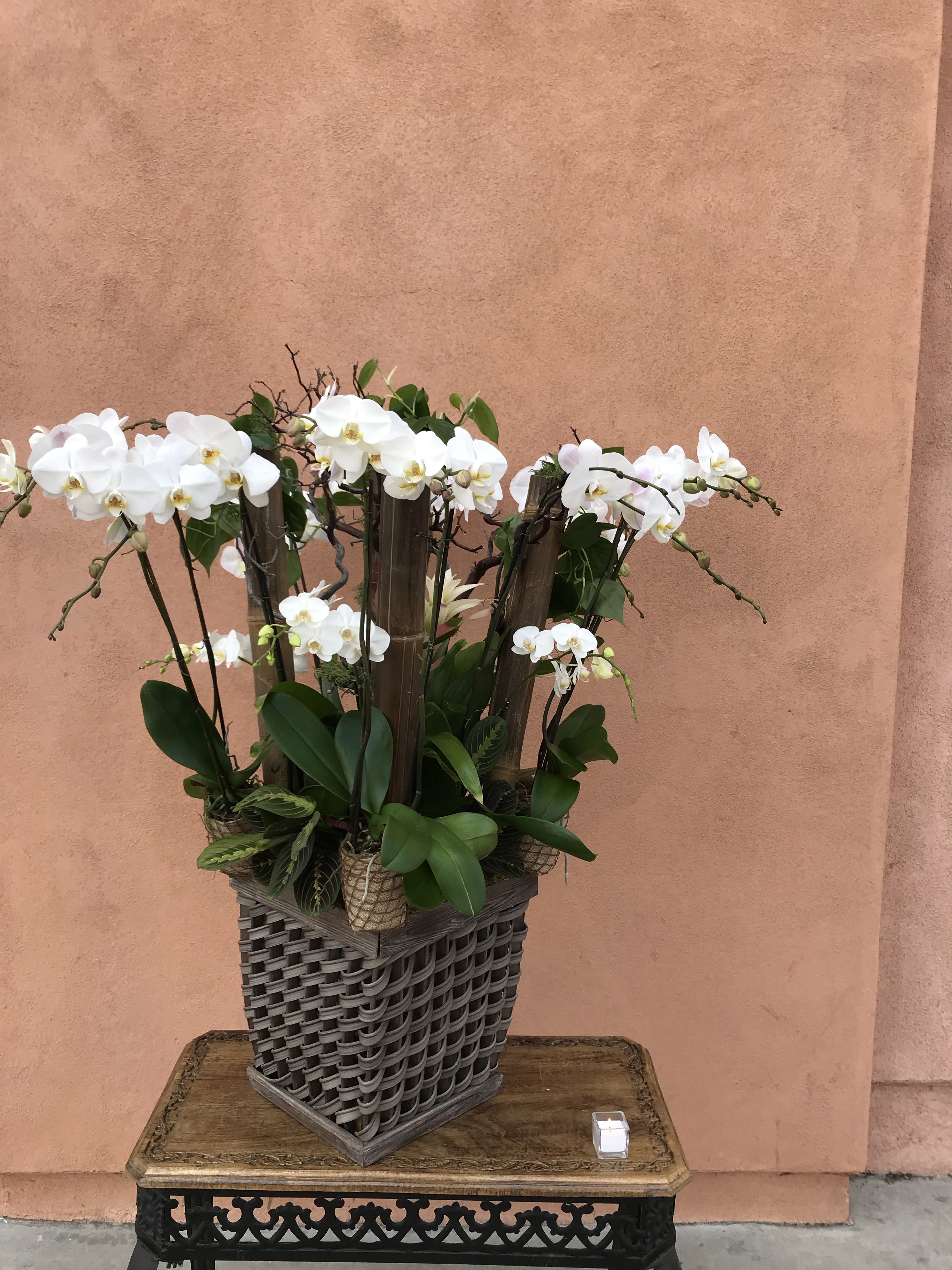 White orchids arranged in a woven basket planter