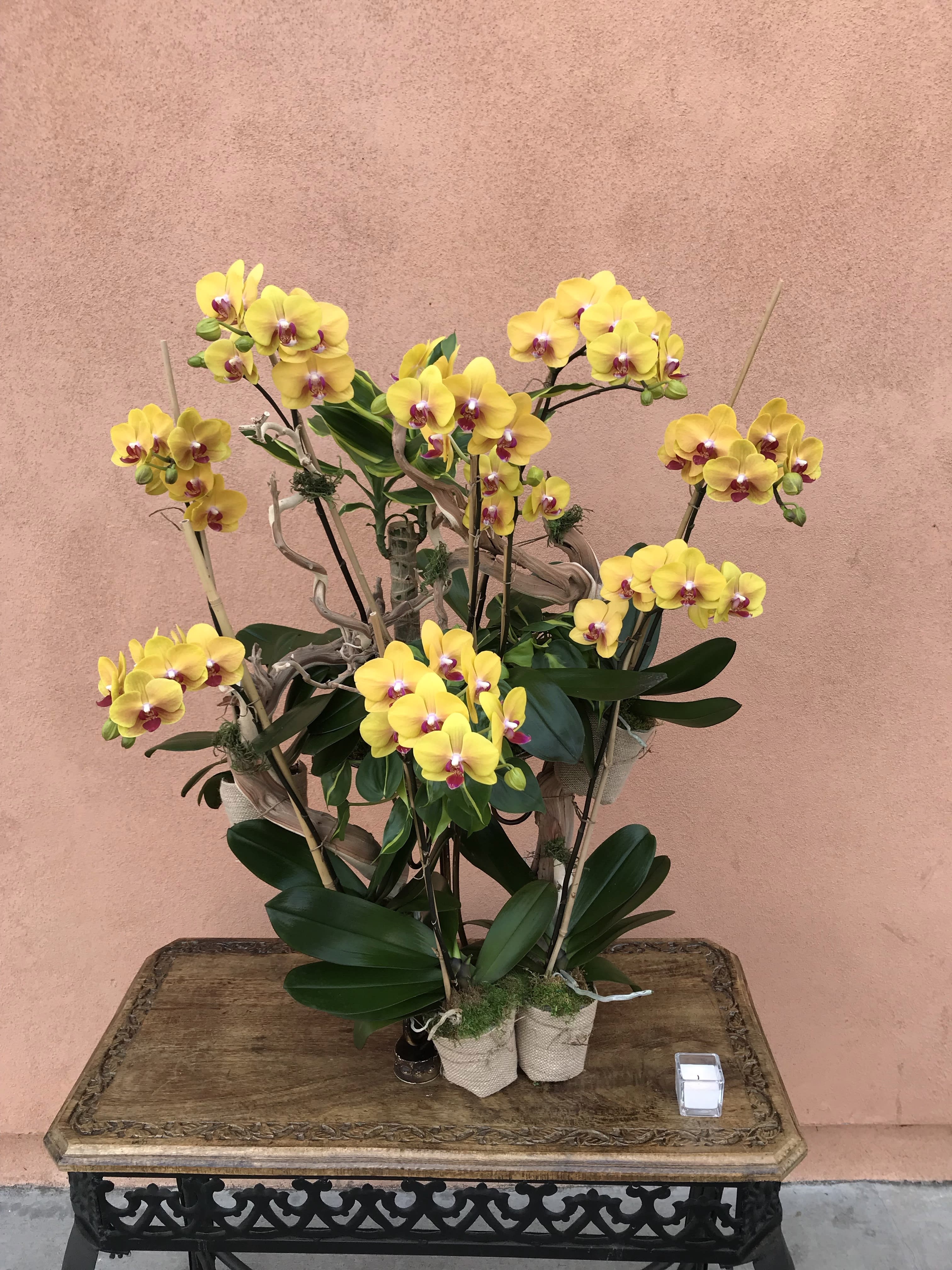 Yellow orchids arranged in a decorative planter on a wooden table