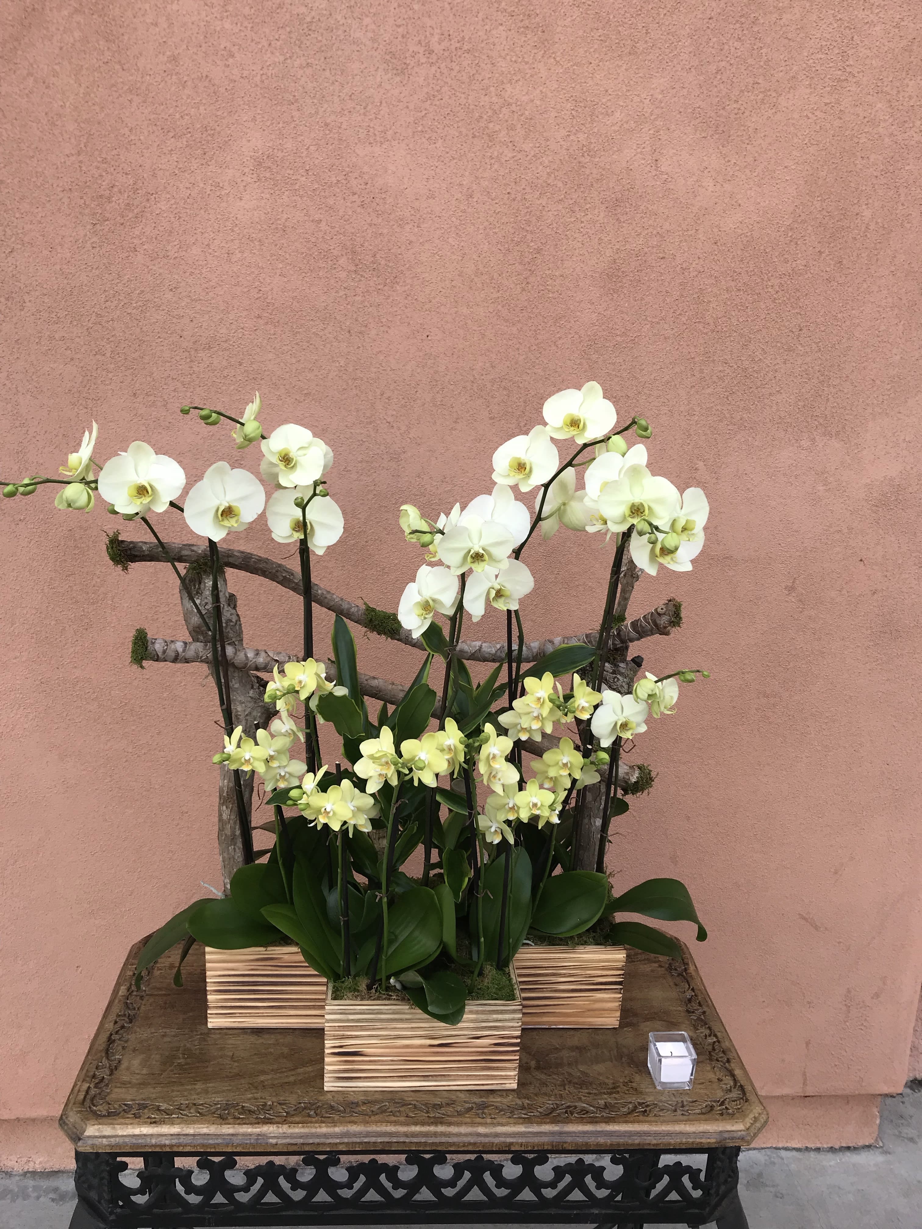 White orchids arranged in wooden boxes on a table