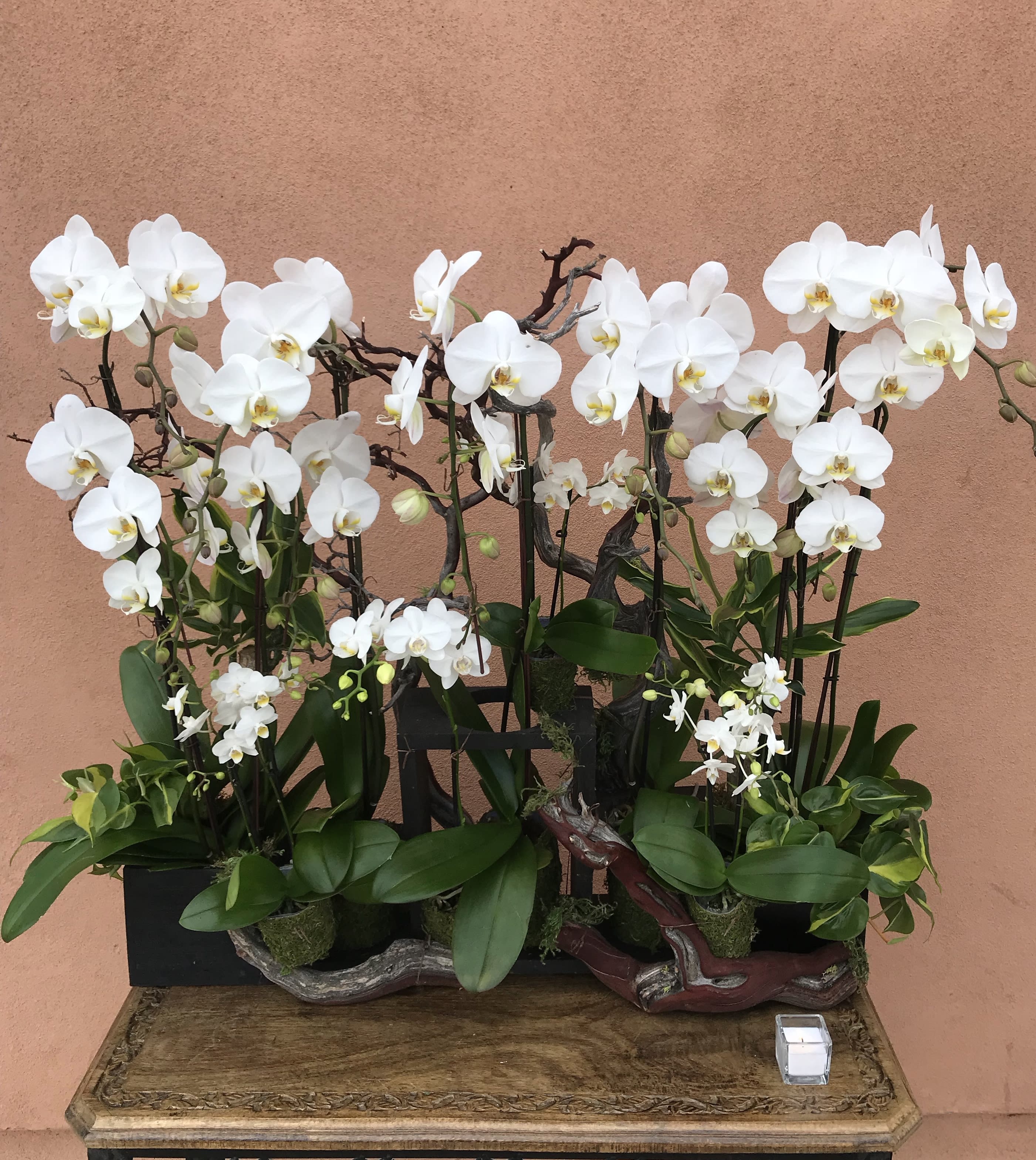 White orchids arranged in two low planters on a wooden table