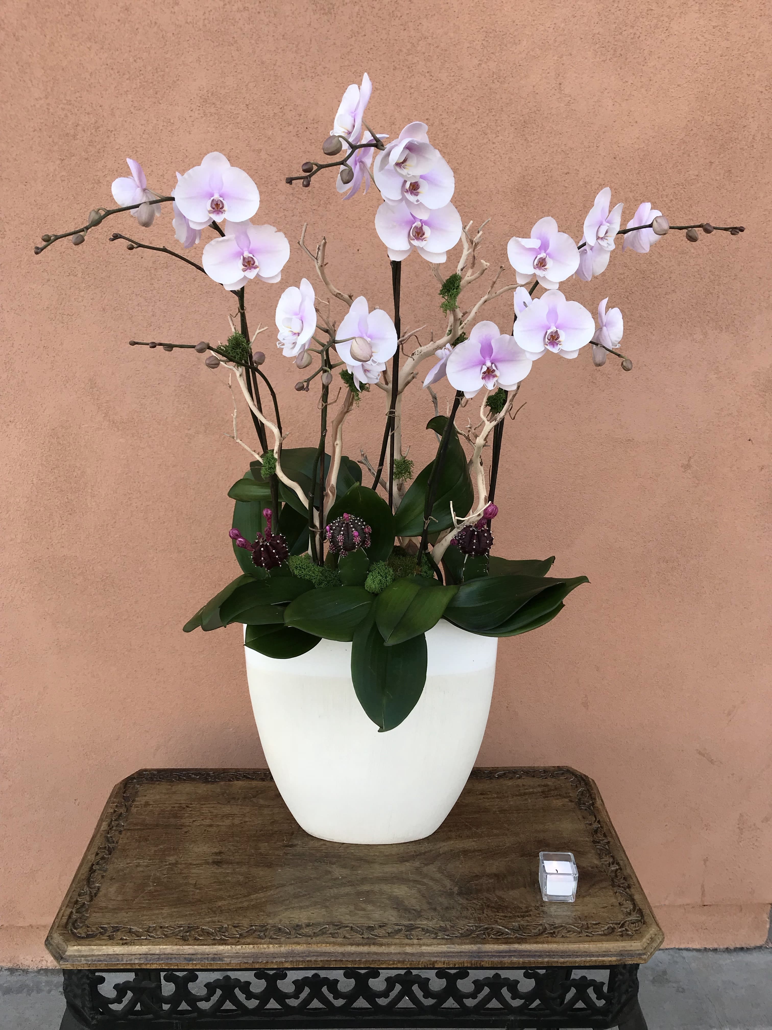 White and pale pink orchids arranged in a white pot