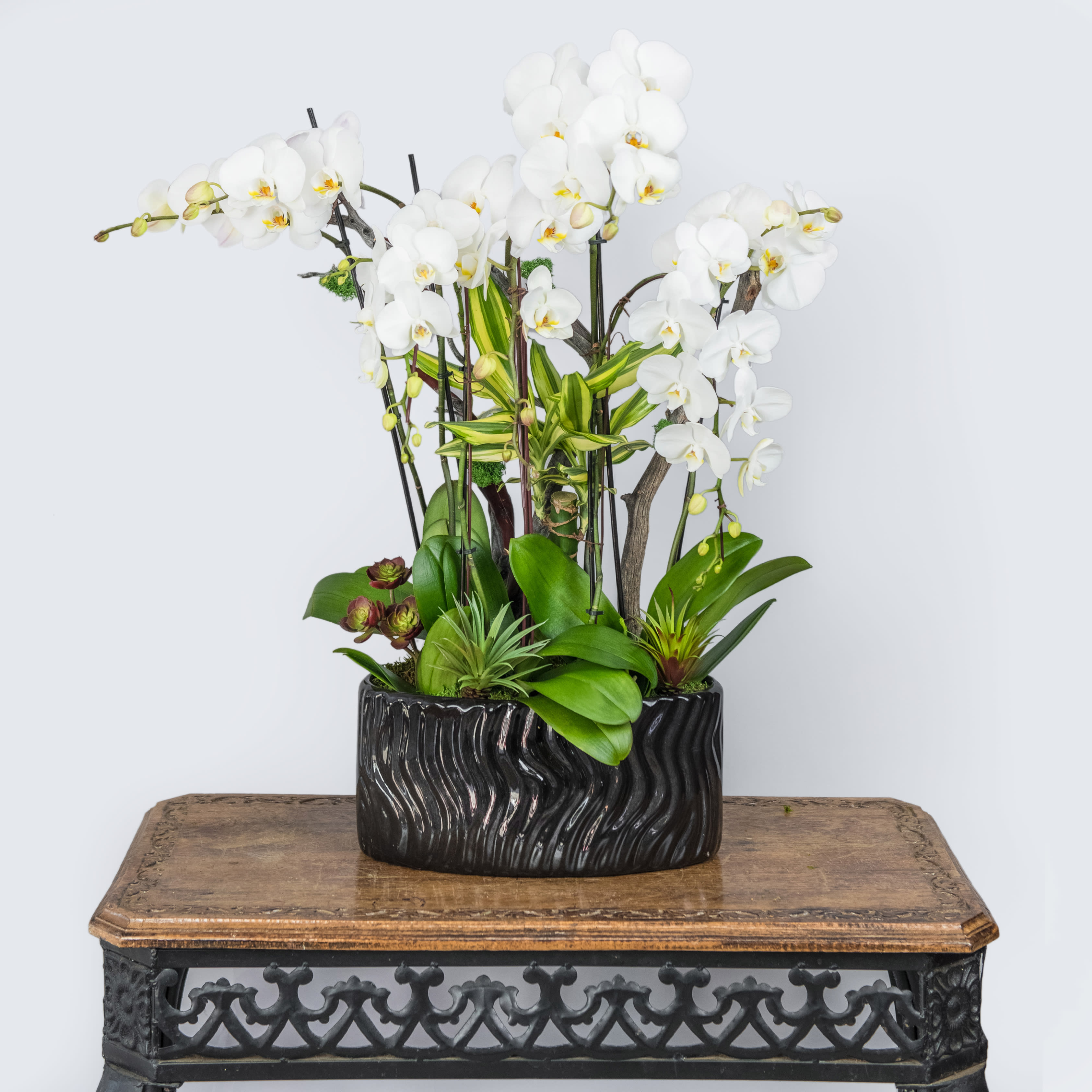 White orchids arranged in a black ceramic planter