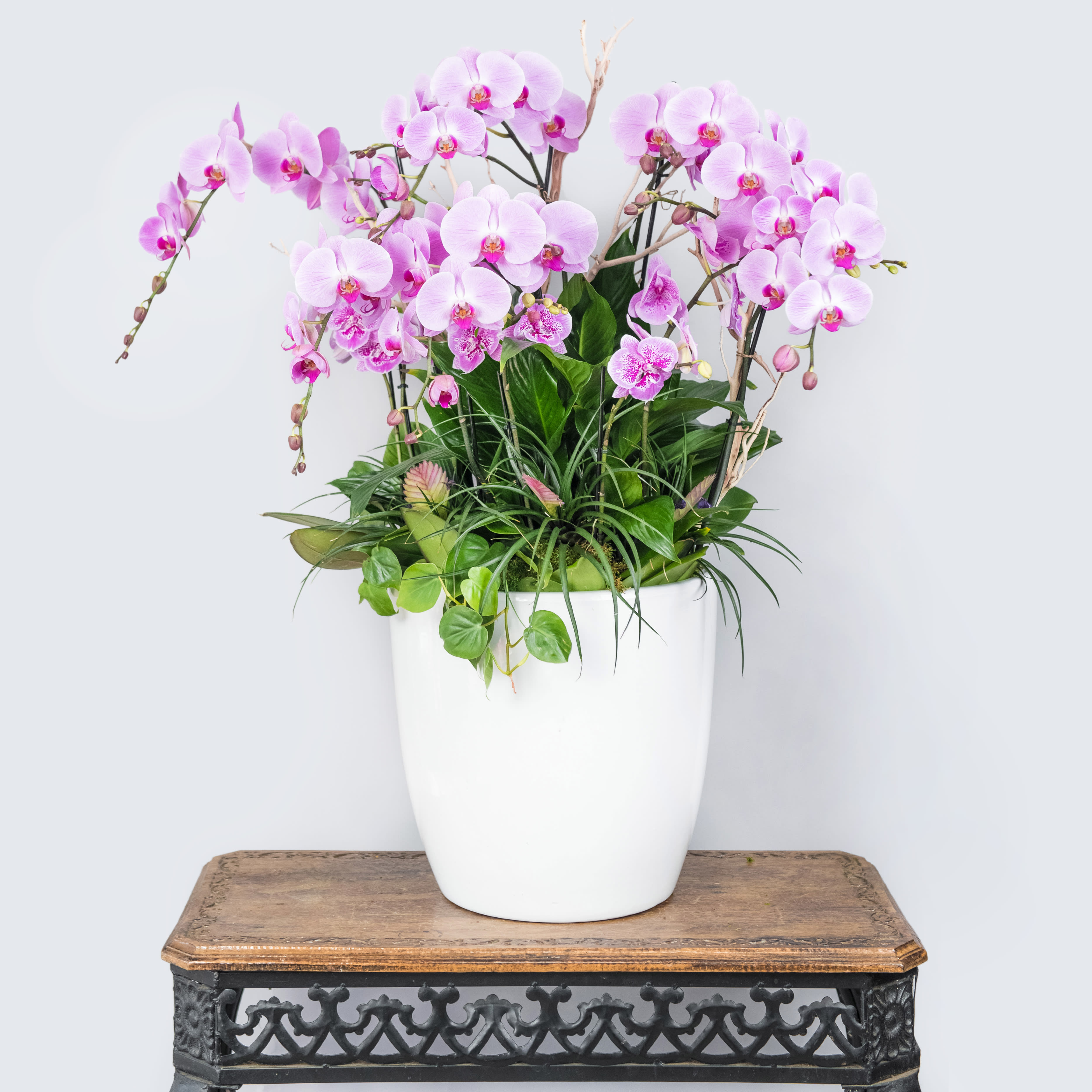 Pink orchids arranged in a white pot with trailing greenery