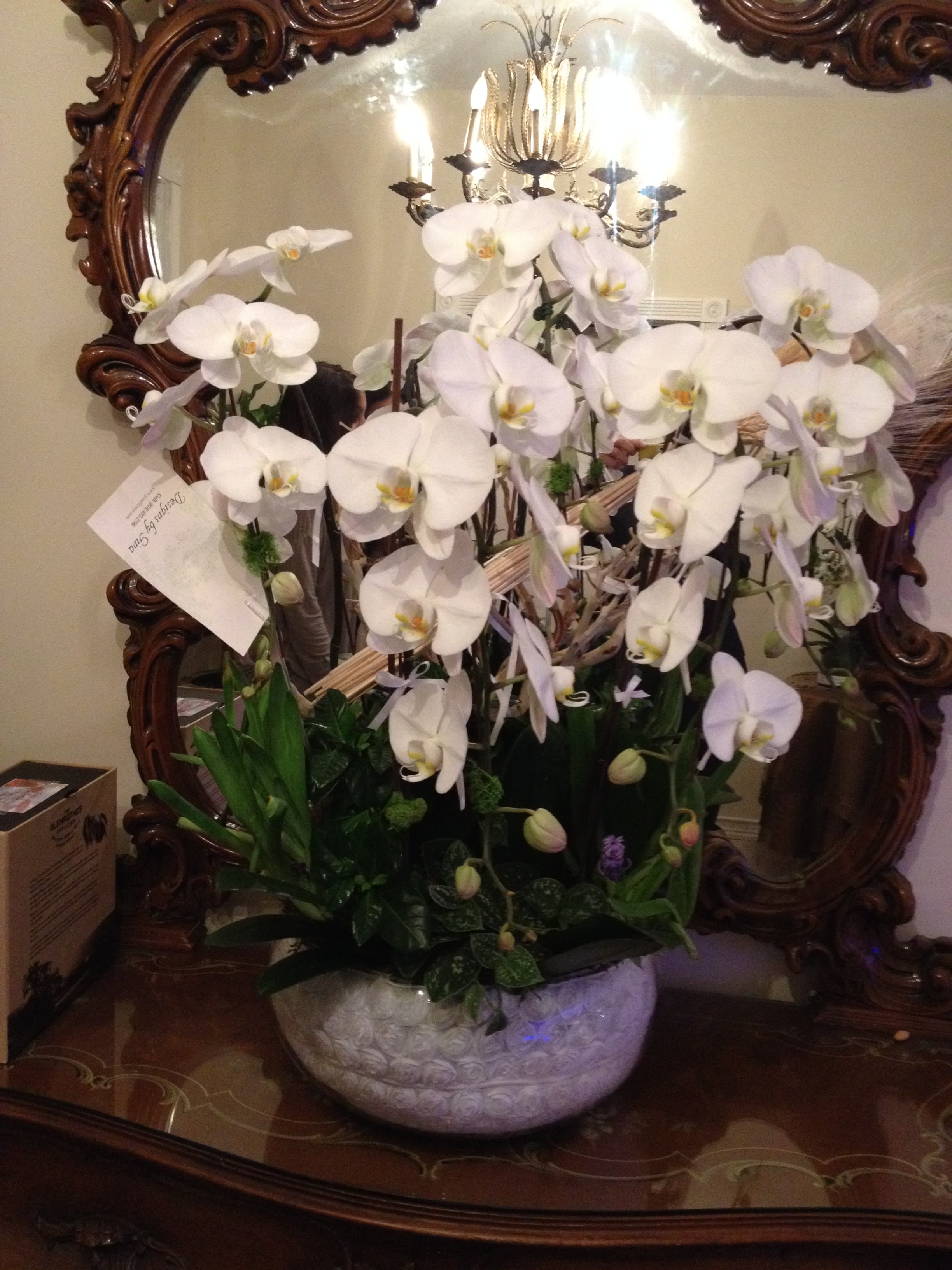 White orchid arrangement in a decorative ceramic bowl
