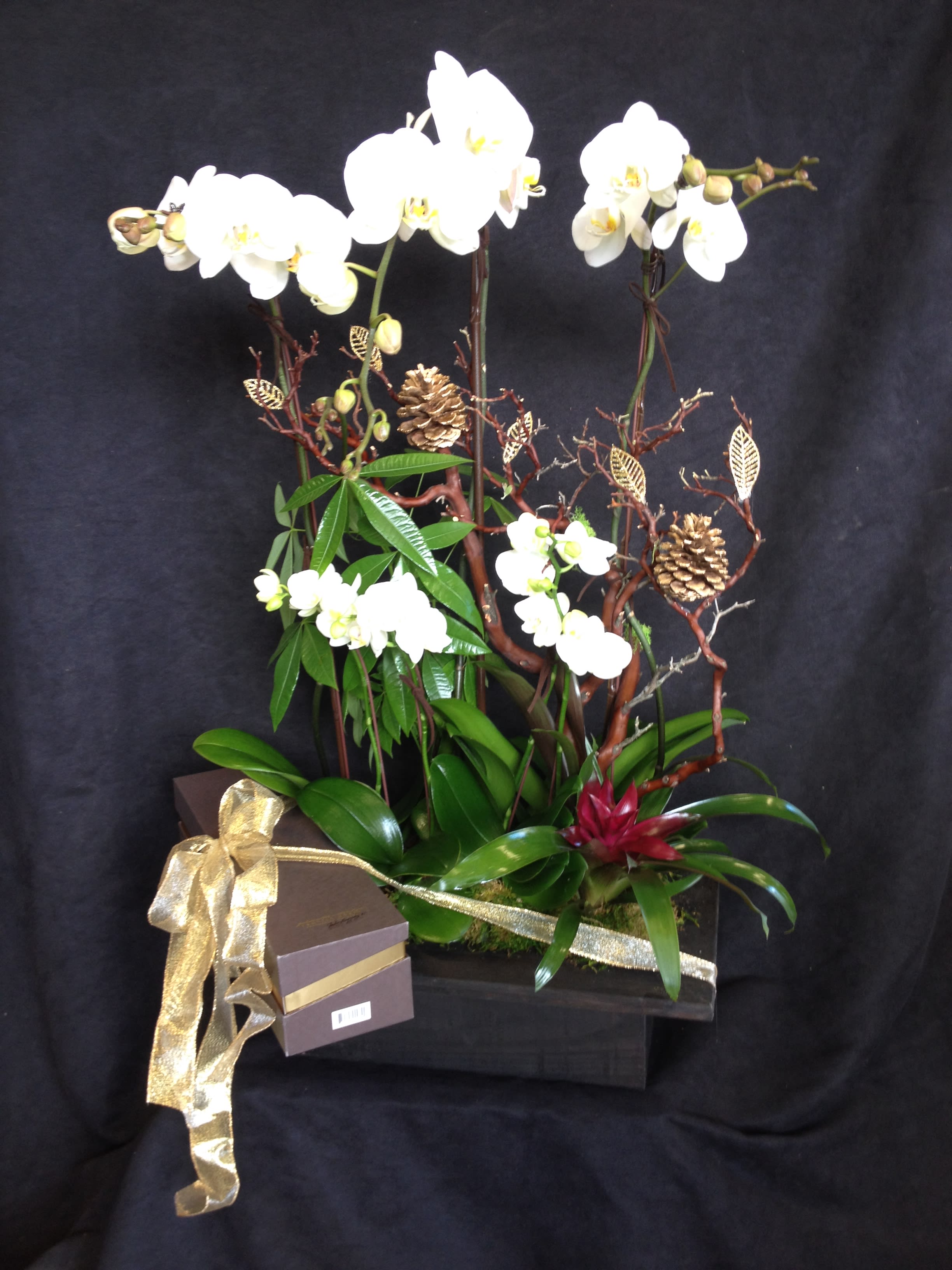 White orchid arrangement in a dark box with gold ribbon and a gift box