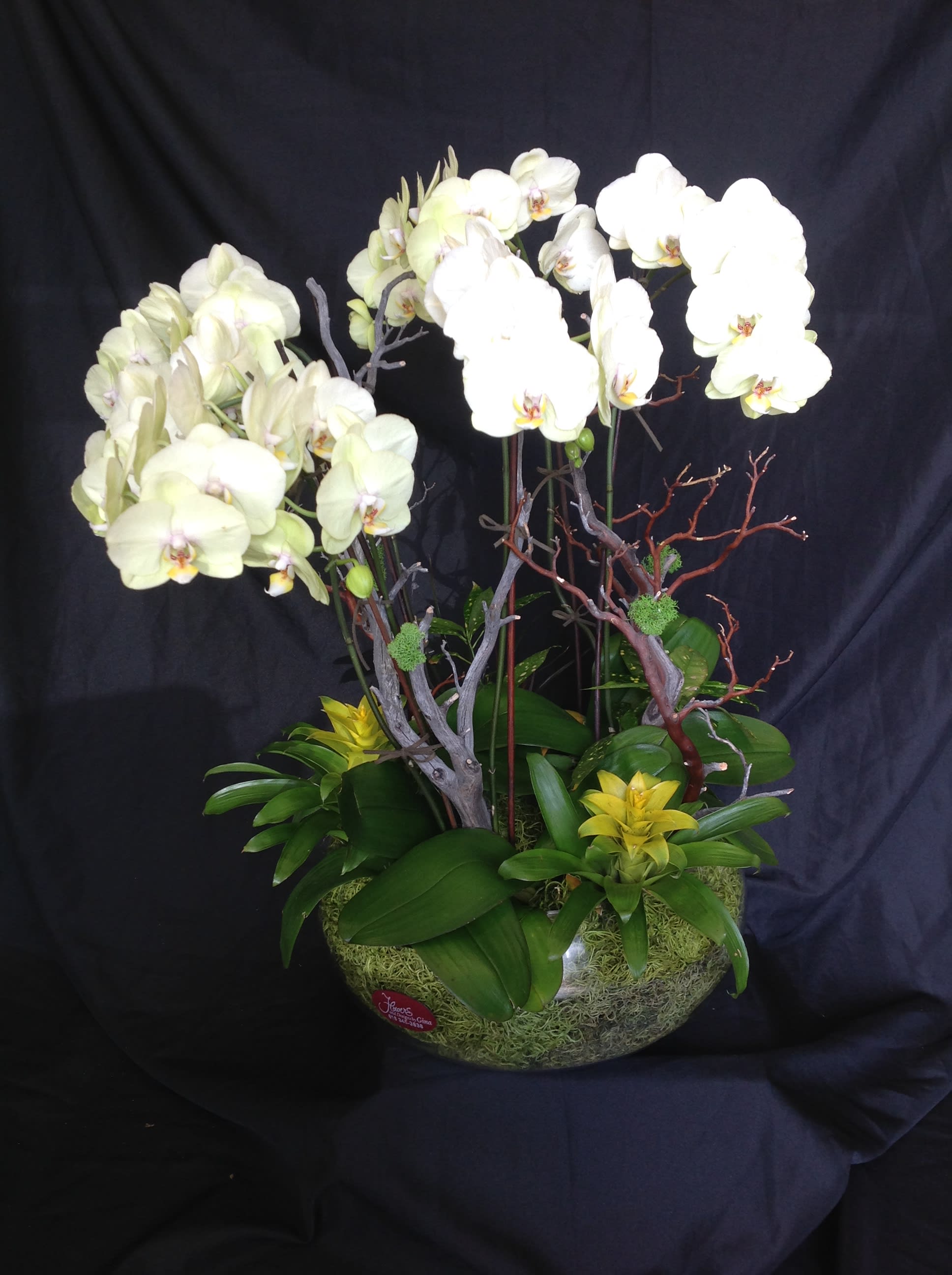 White orchid arrangement in a low bowl with green foliage and decorative branches