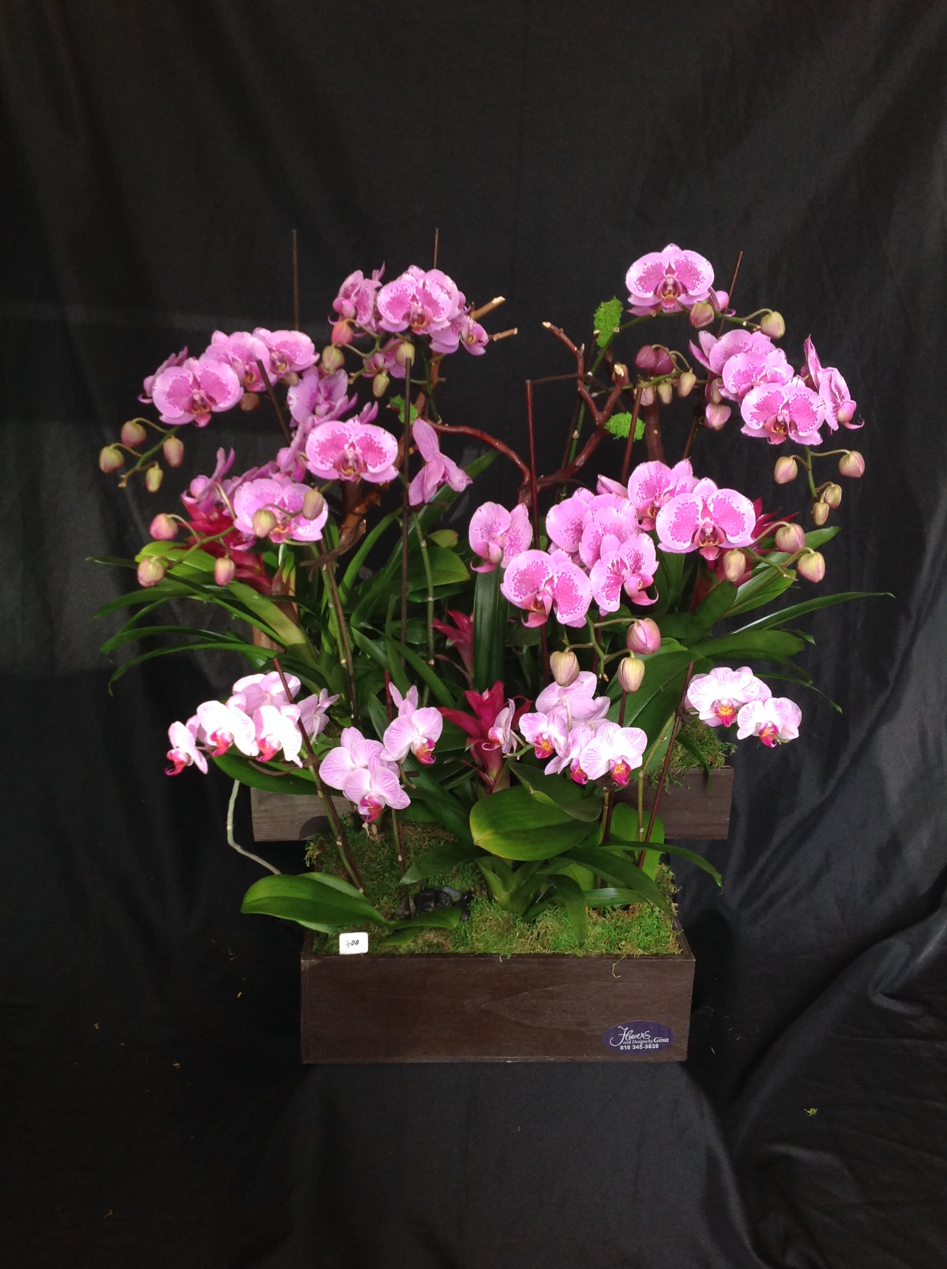 Pink orchid arrangement in a wooden planter box