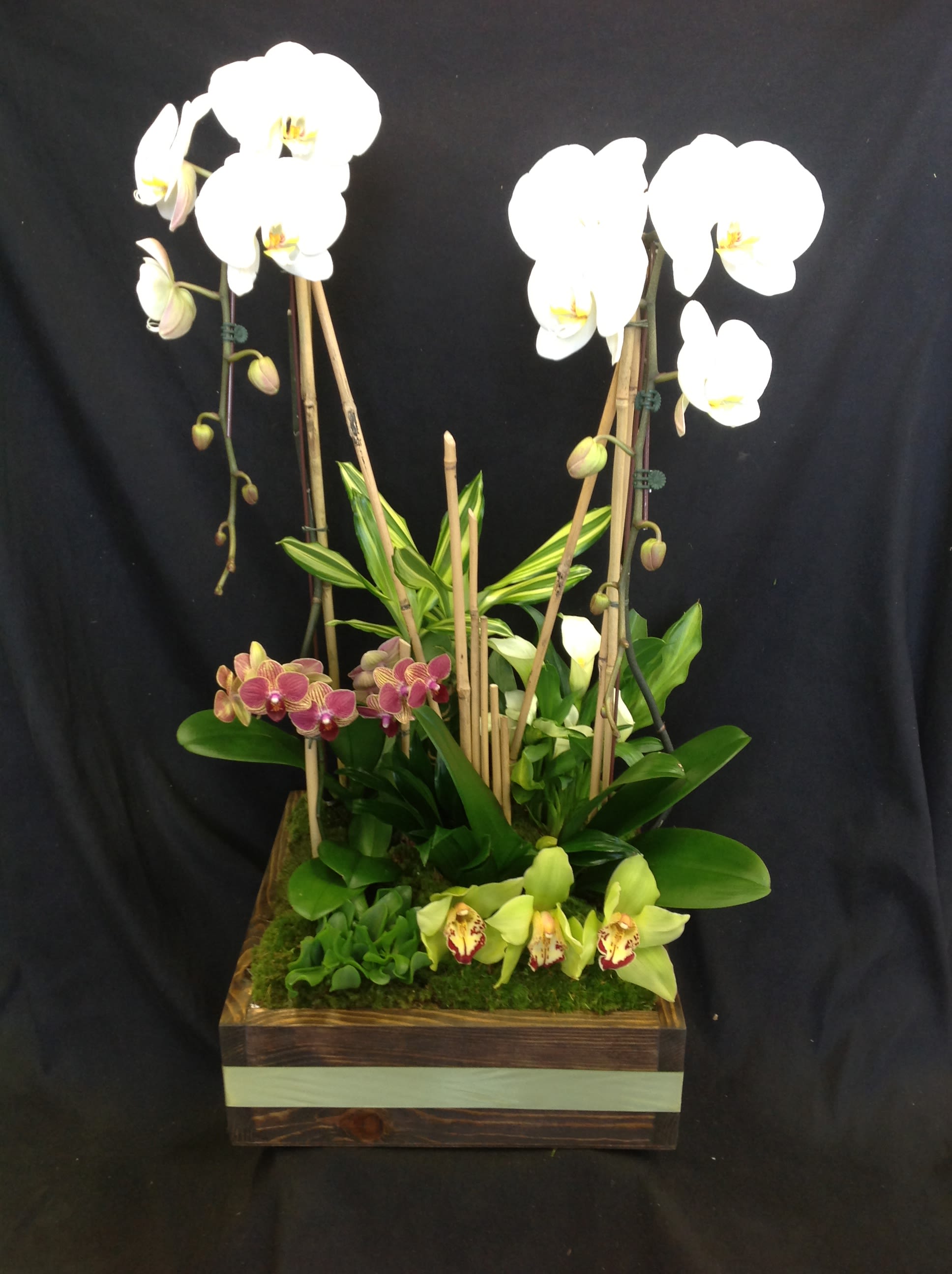 Tall orchid arrangement in a wooden box with white and green blooms