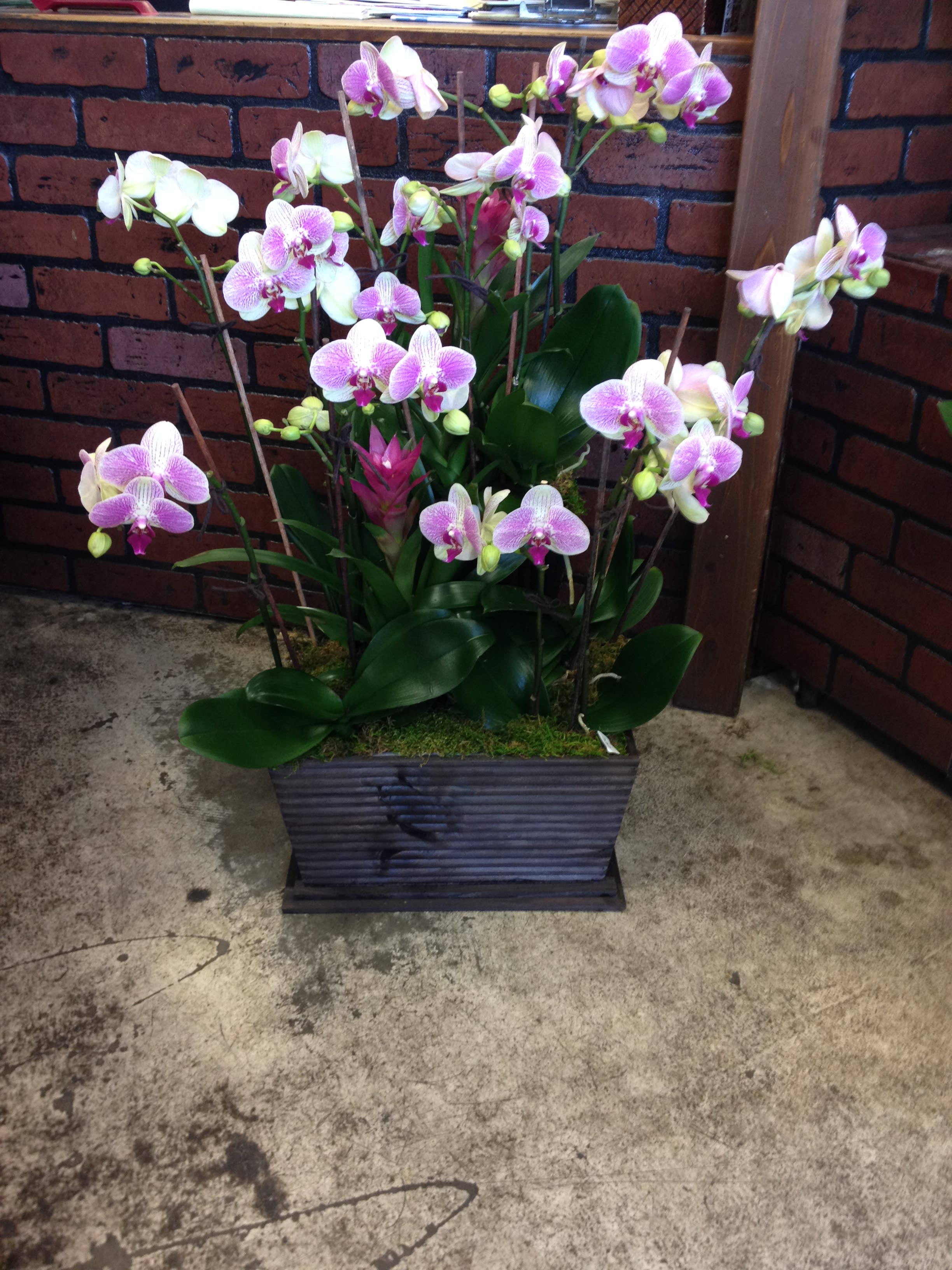 Pink and white orchids arranged in a rectangular planter