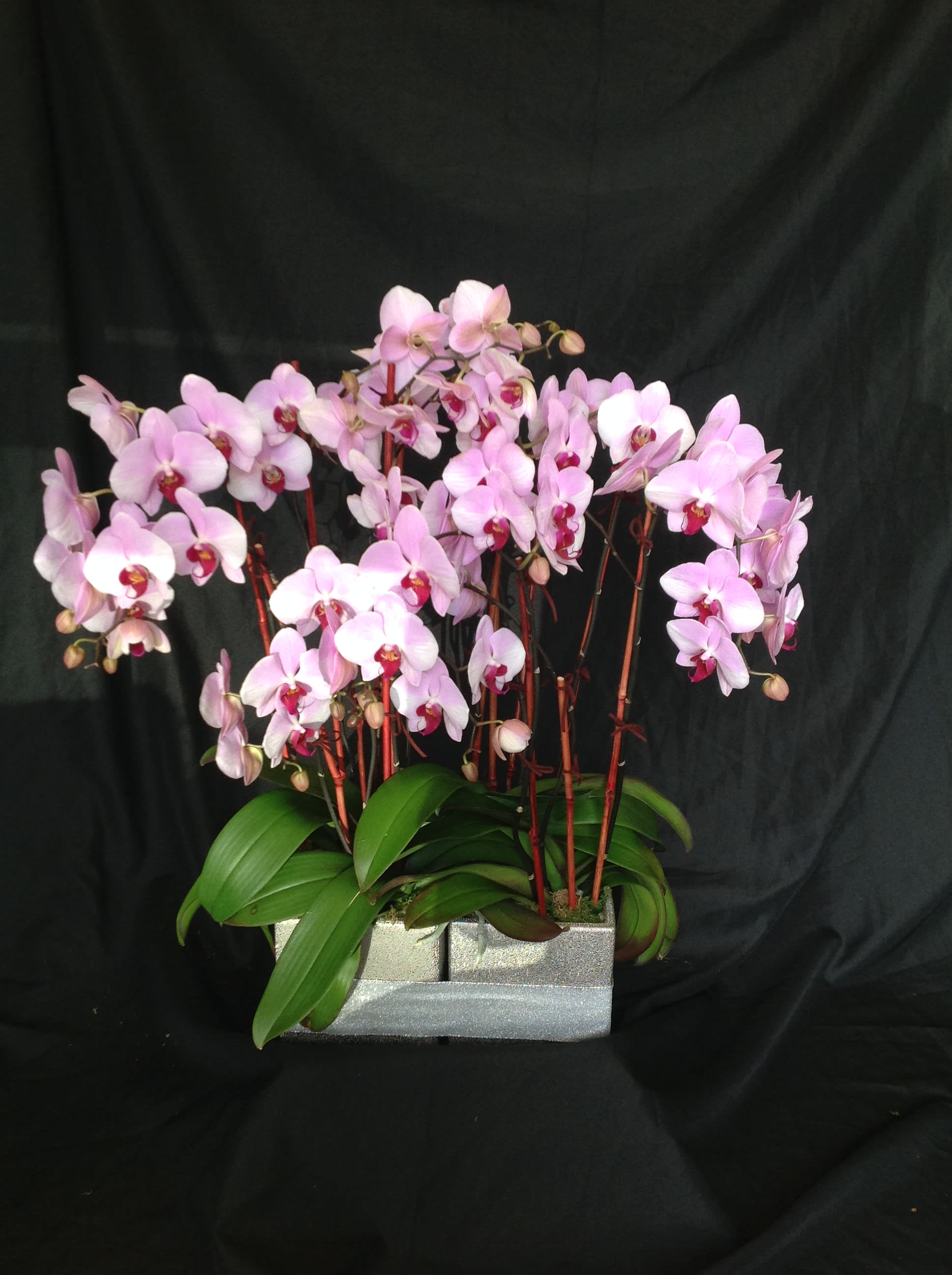 Pink orchid arrangement in a silver rectangular planter