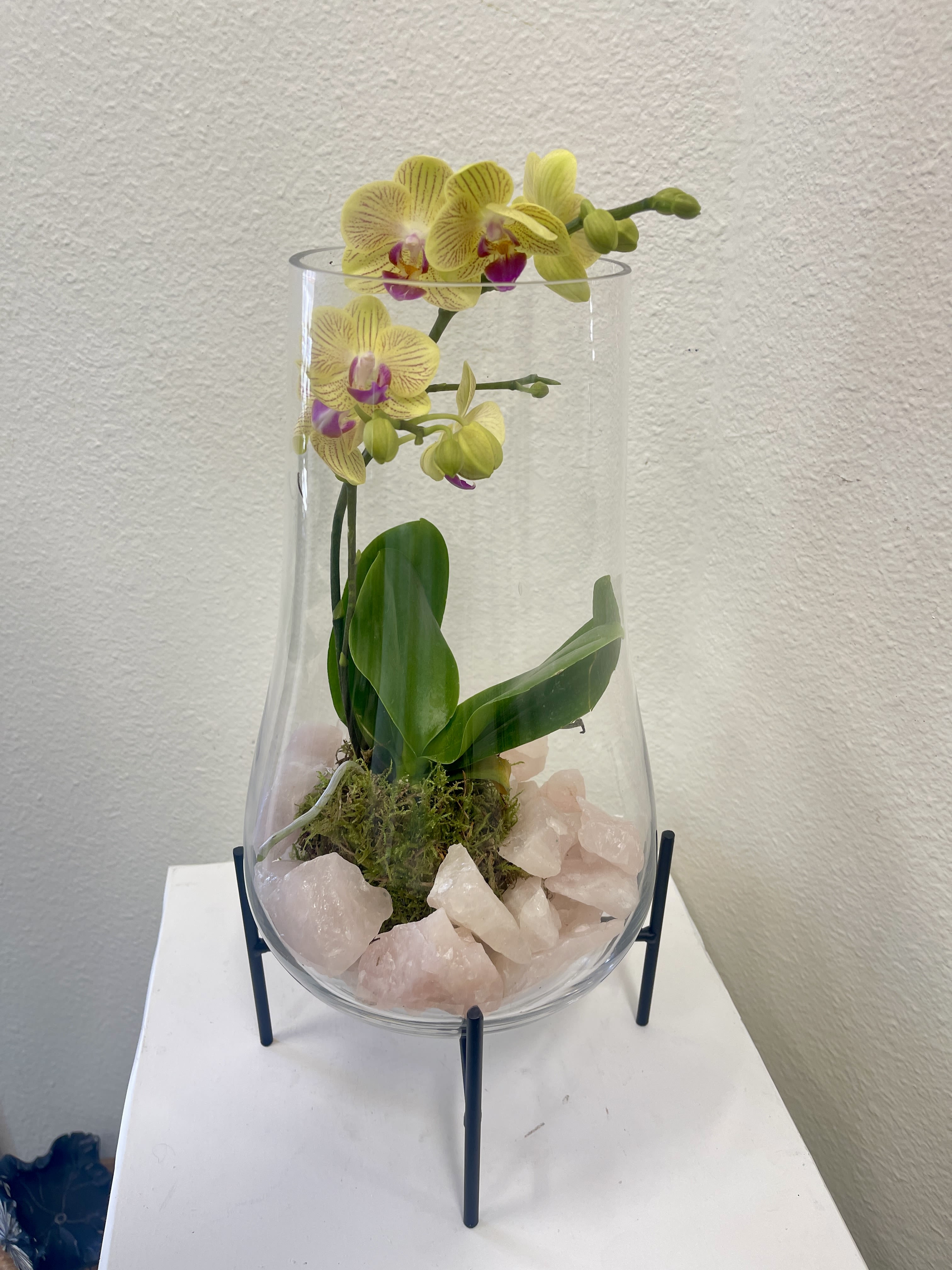 Yellow orchid in a clear glass vase with pink stones