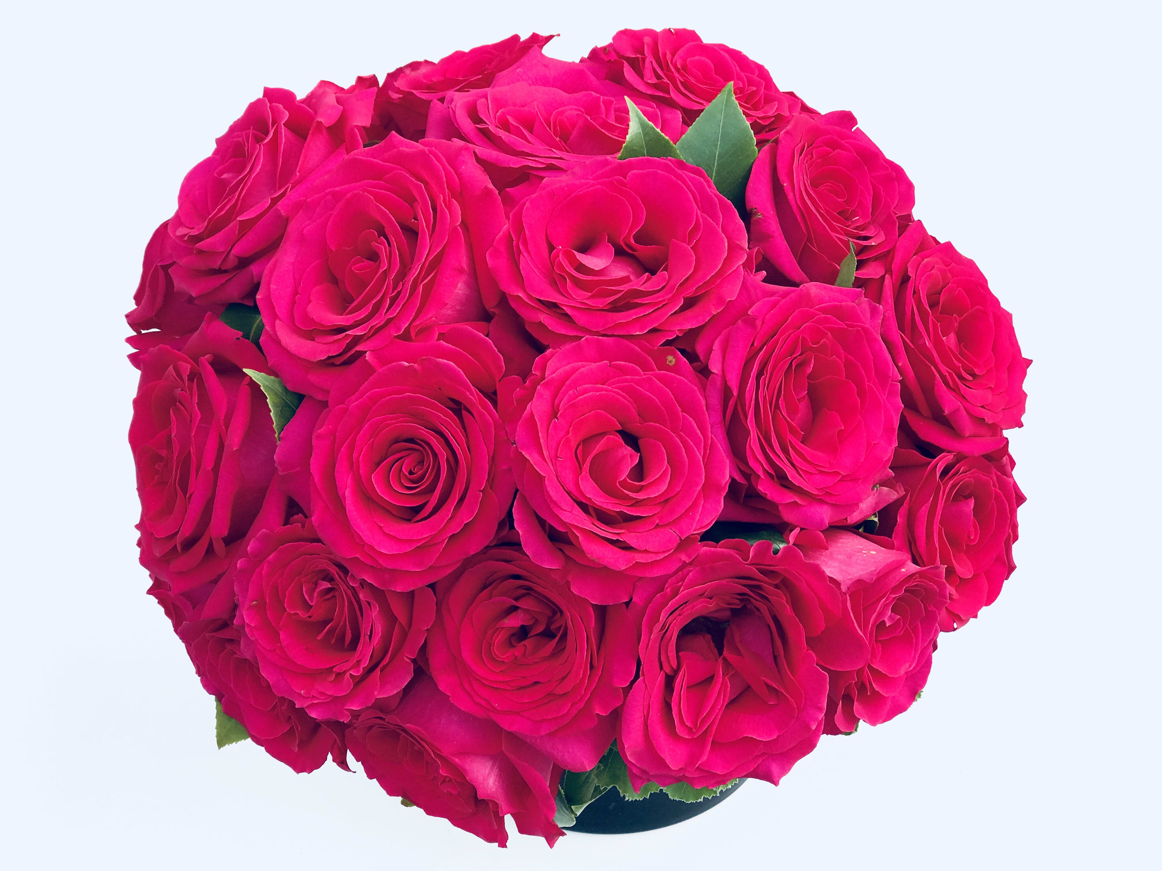 Bouquet of bright pink roses in a round arrangement