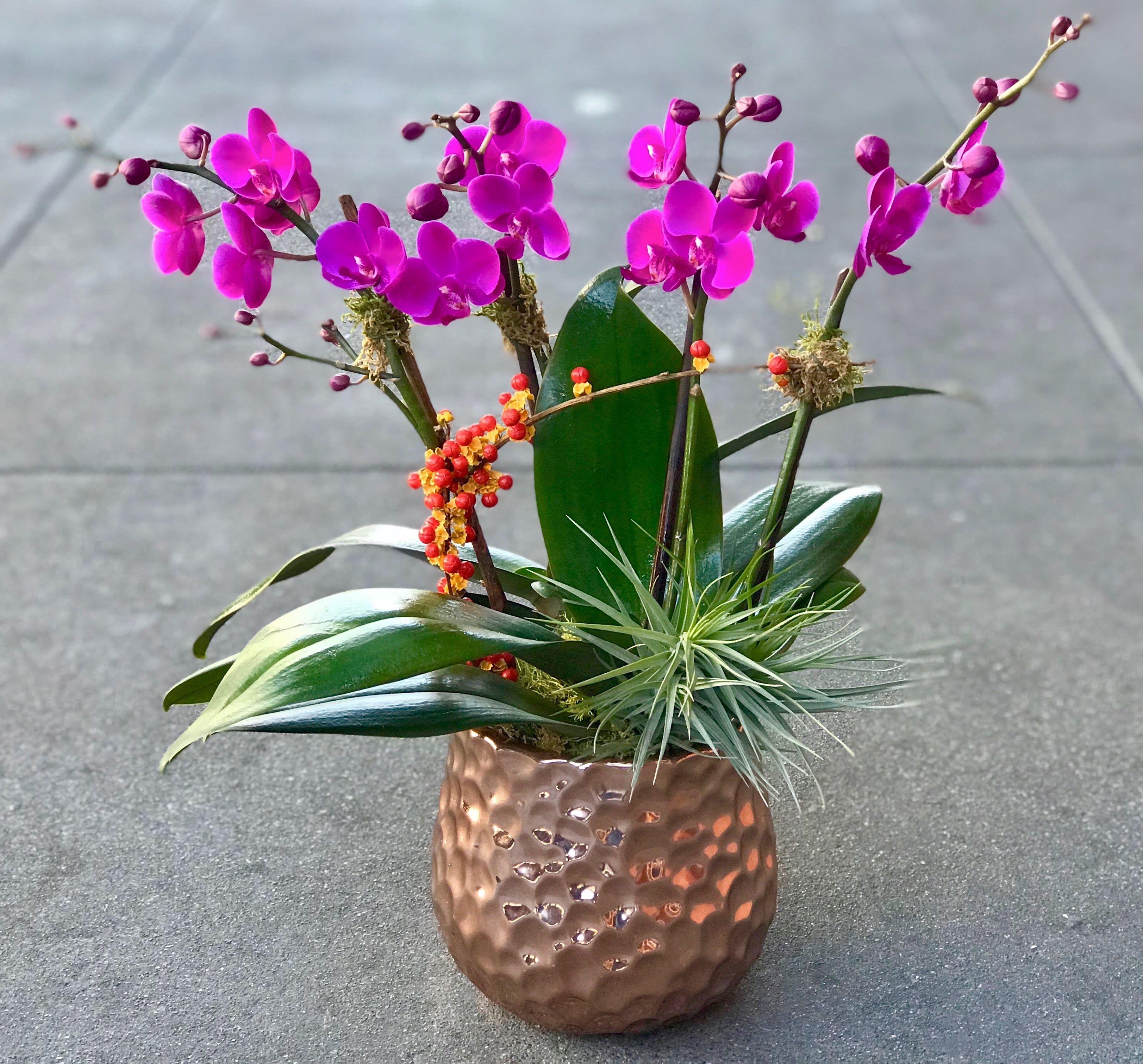 Pink orchid stems in a hammered copper vase with air plants
