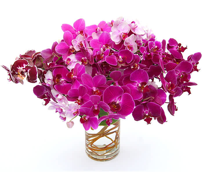Bouquet of pink and white orchids in a clear glass vase