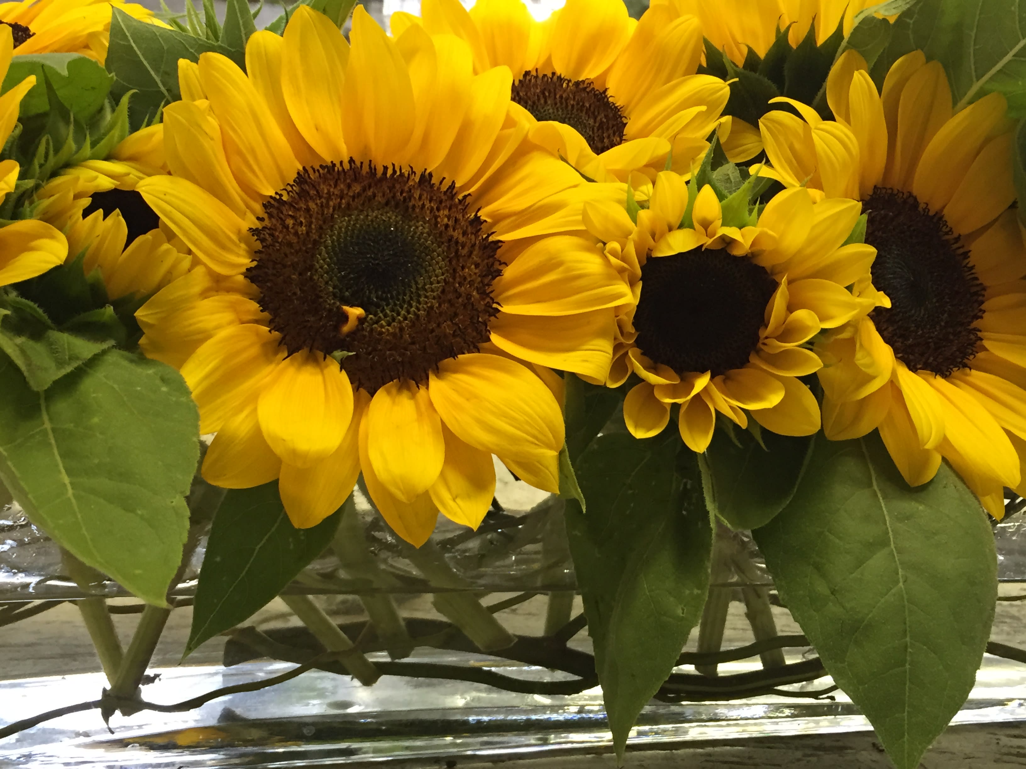 Bouquet of yellow sunflowers with green leaves