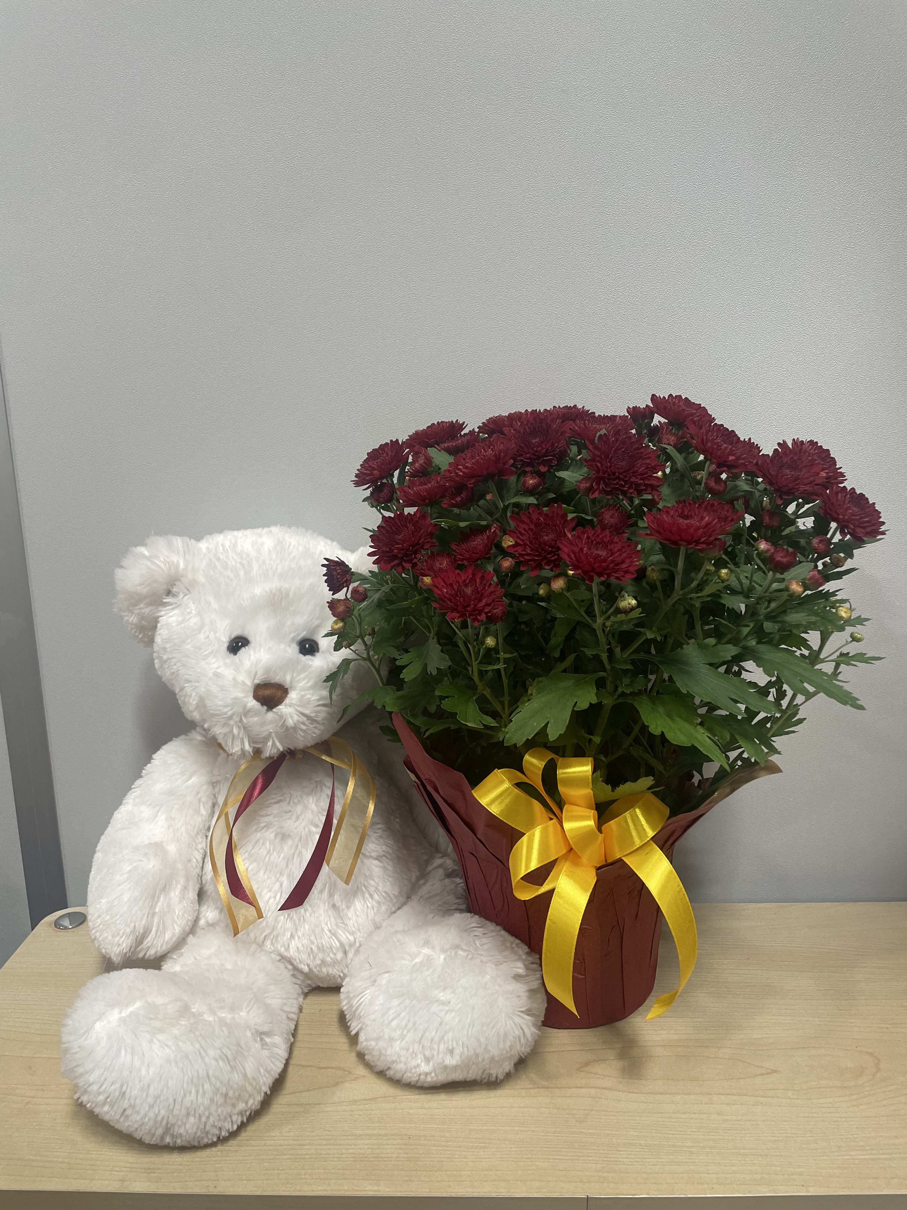 Burgundy Chrysanthemum &amp; Bear - As shown 
