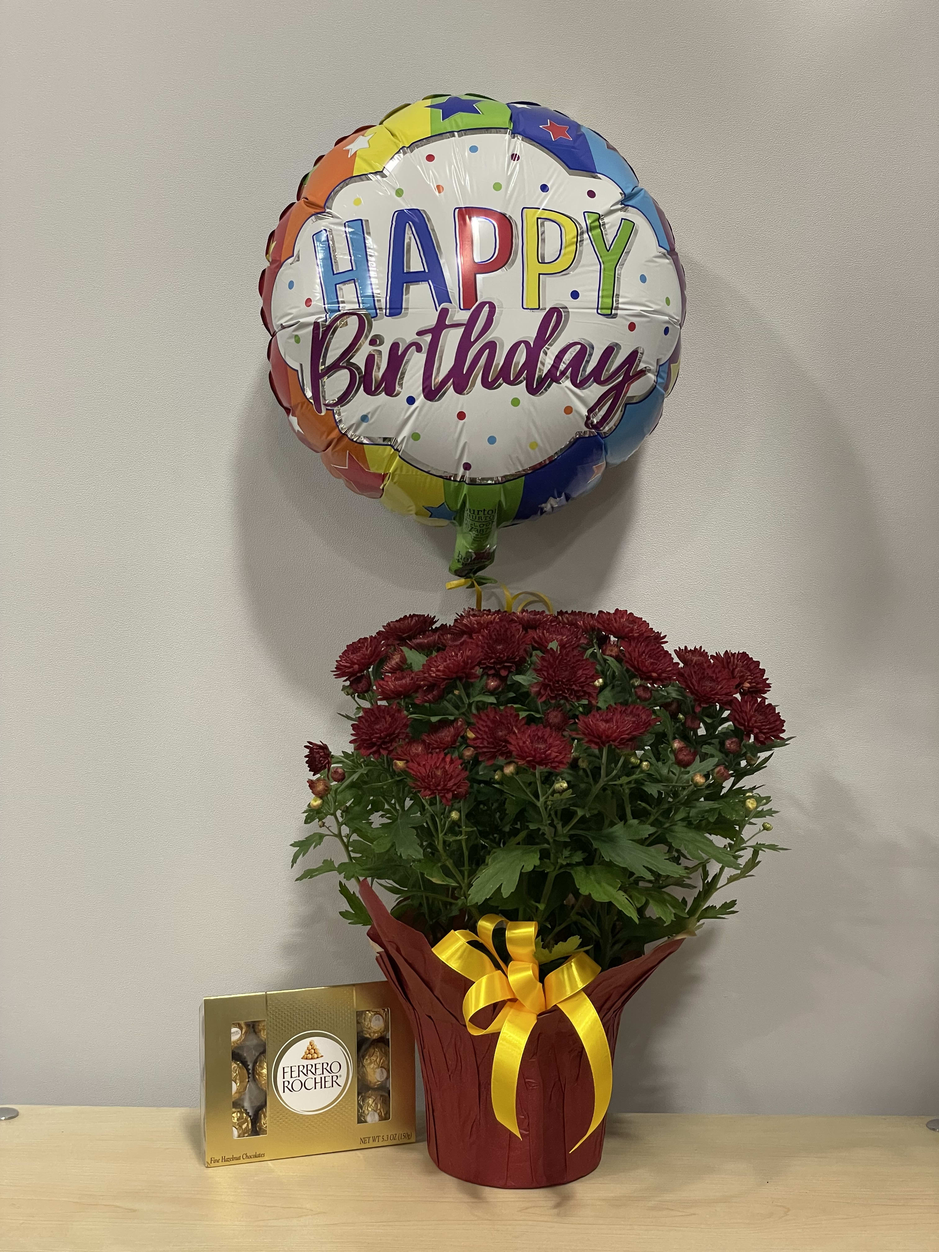 Burgundy Mum Birthday Trio - As shown 