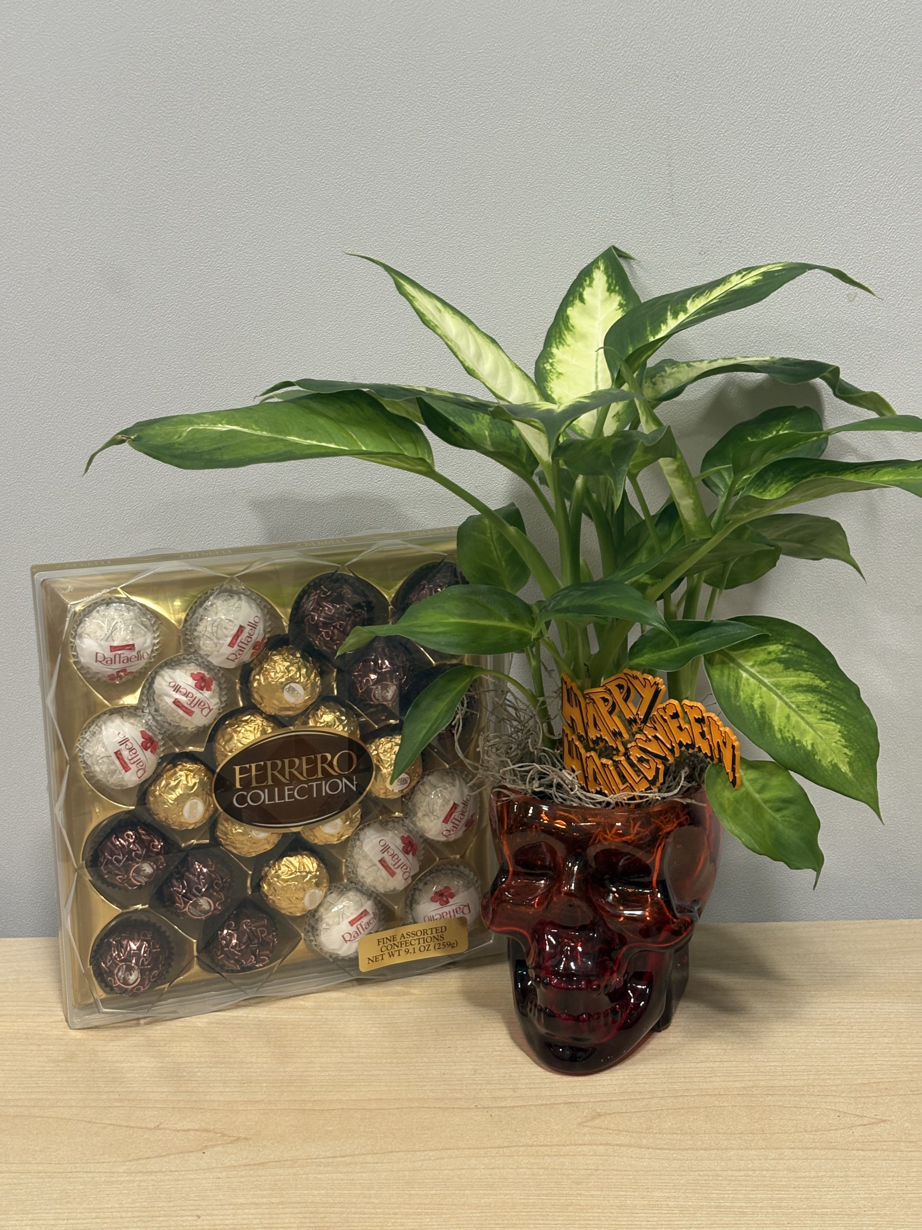 Glass Skull Planter &amp; Chocolates - As shown 
